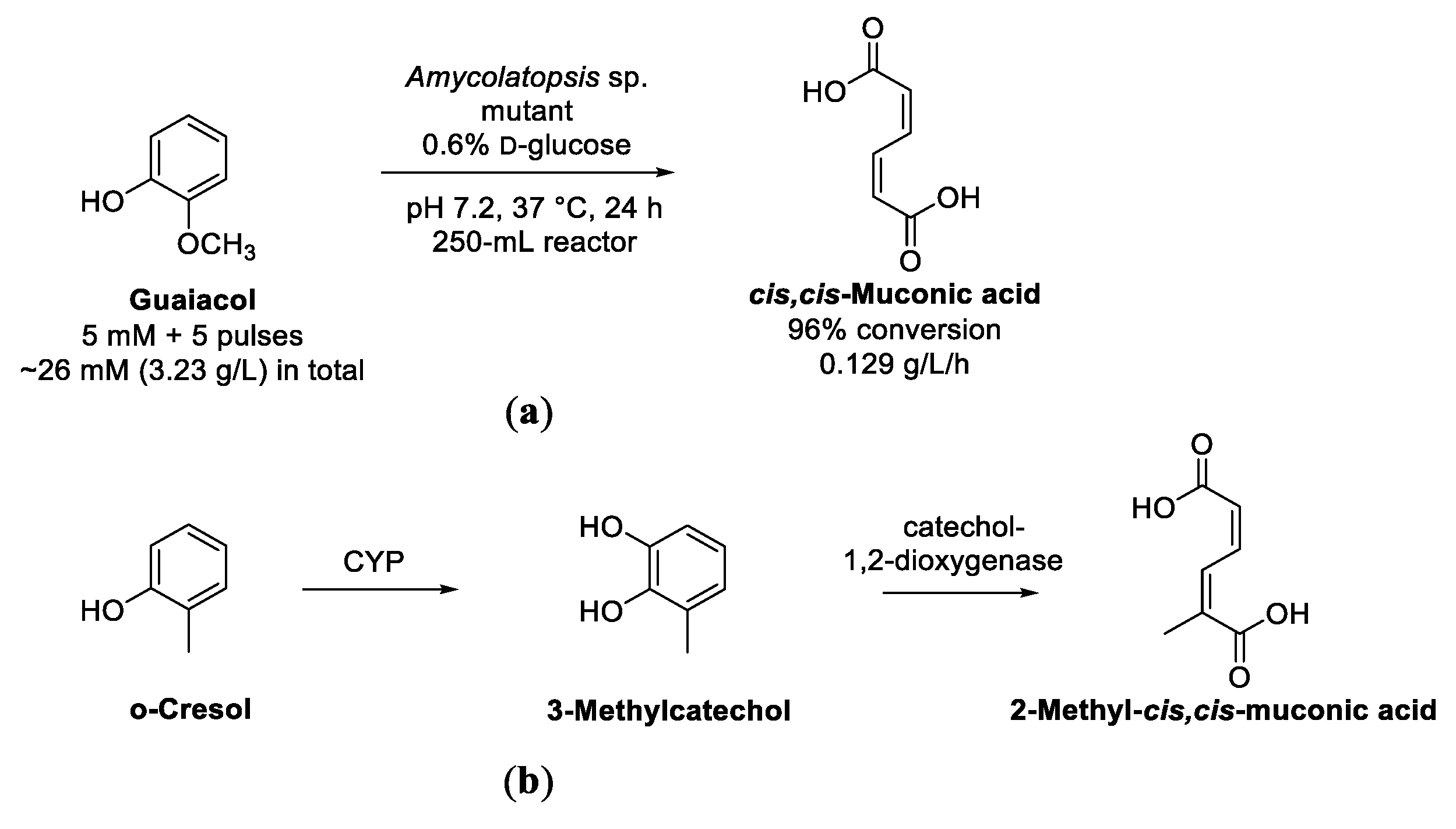 Biomolecules 13 00717 sch016 Biomolecules 13 00717 sch016
