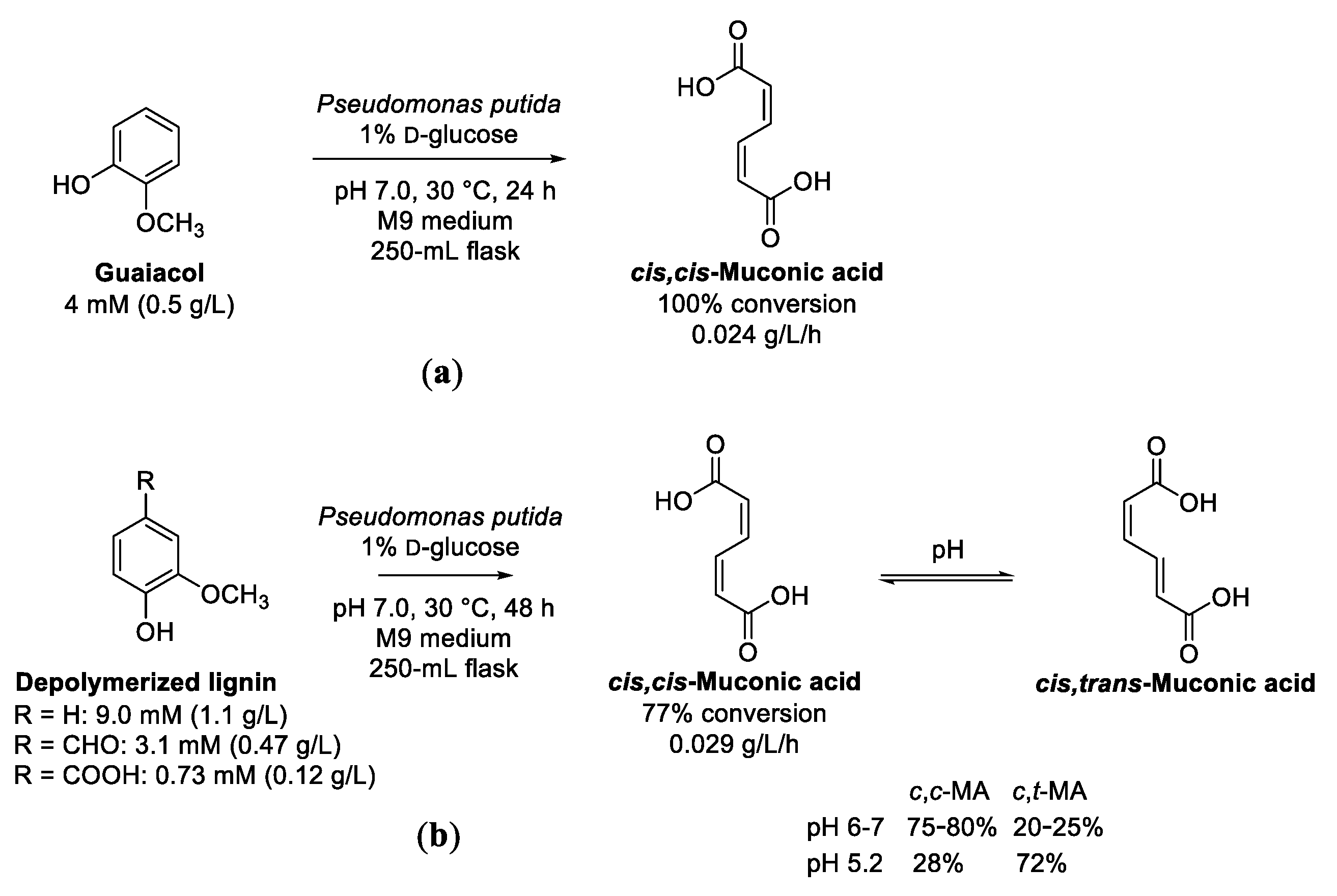 Bio-Based Valorization of Lignin-Derived Phenolic Compounds