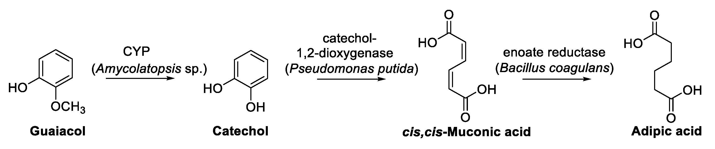 Biomolecules 13 00717 sch019 Biomolecules 13 00717 sch019