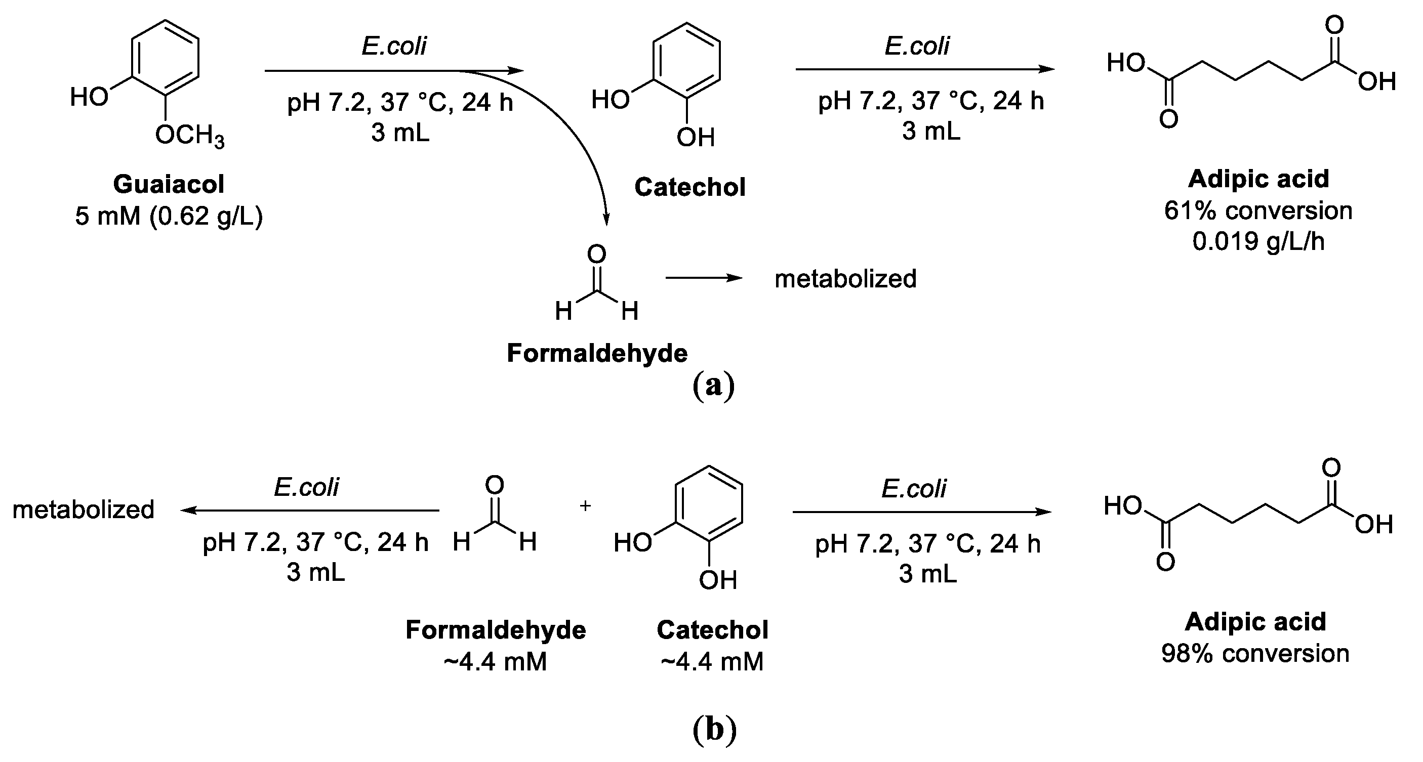 Biomolecules 13 00717 sch020 Biomolecules 13 00717 sch020