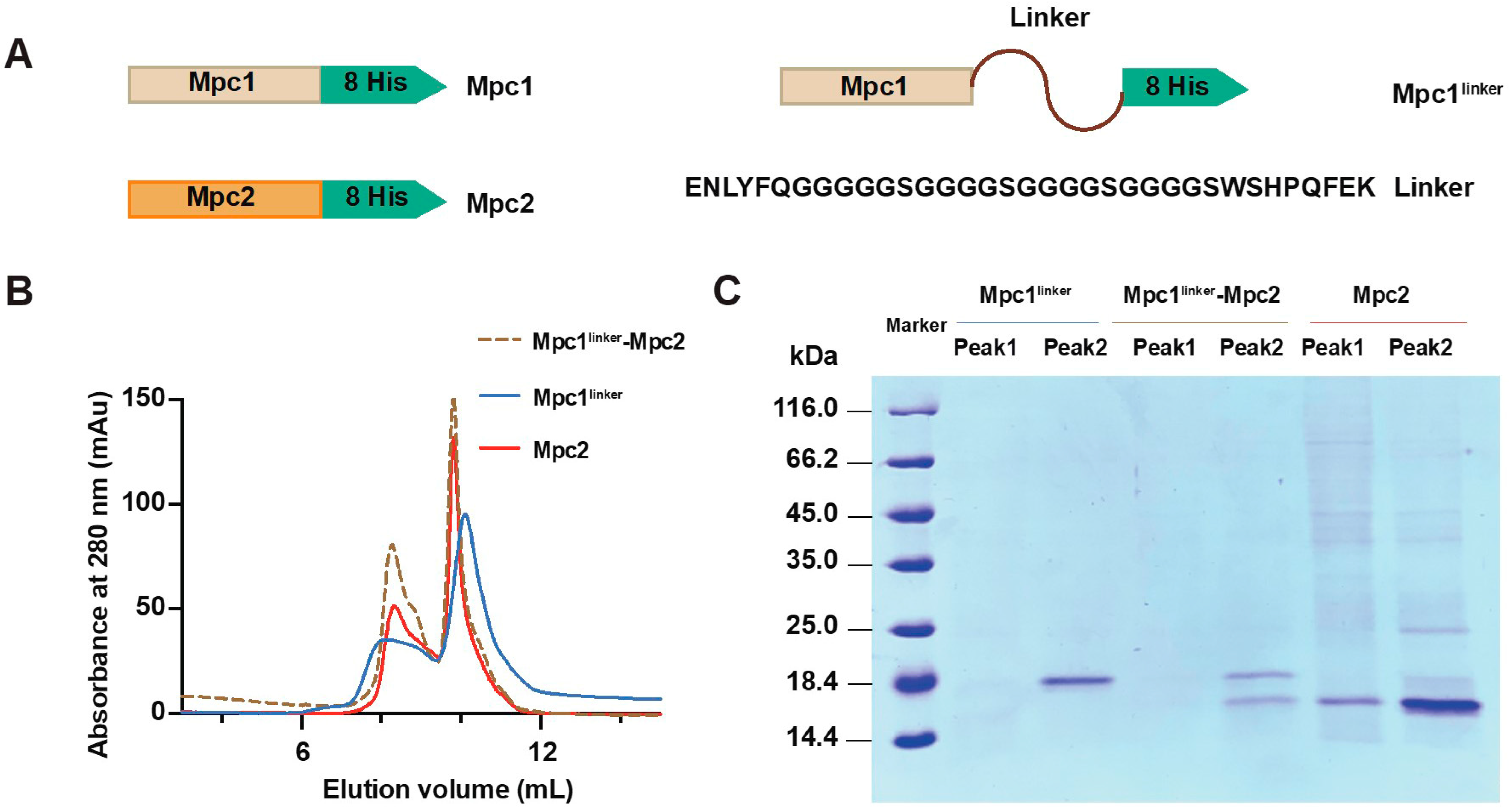 Biomolecules 13 00719 g001 Biomolecules 13 00719 g001