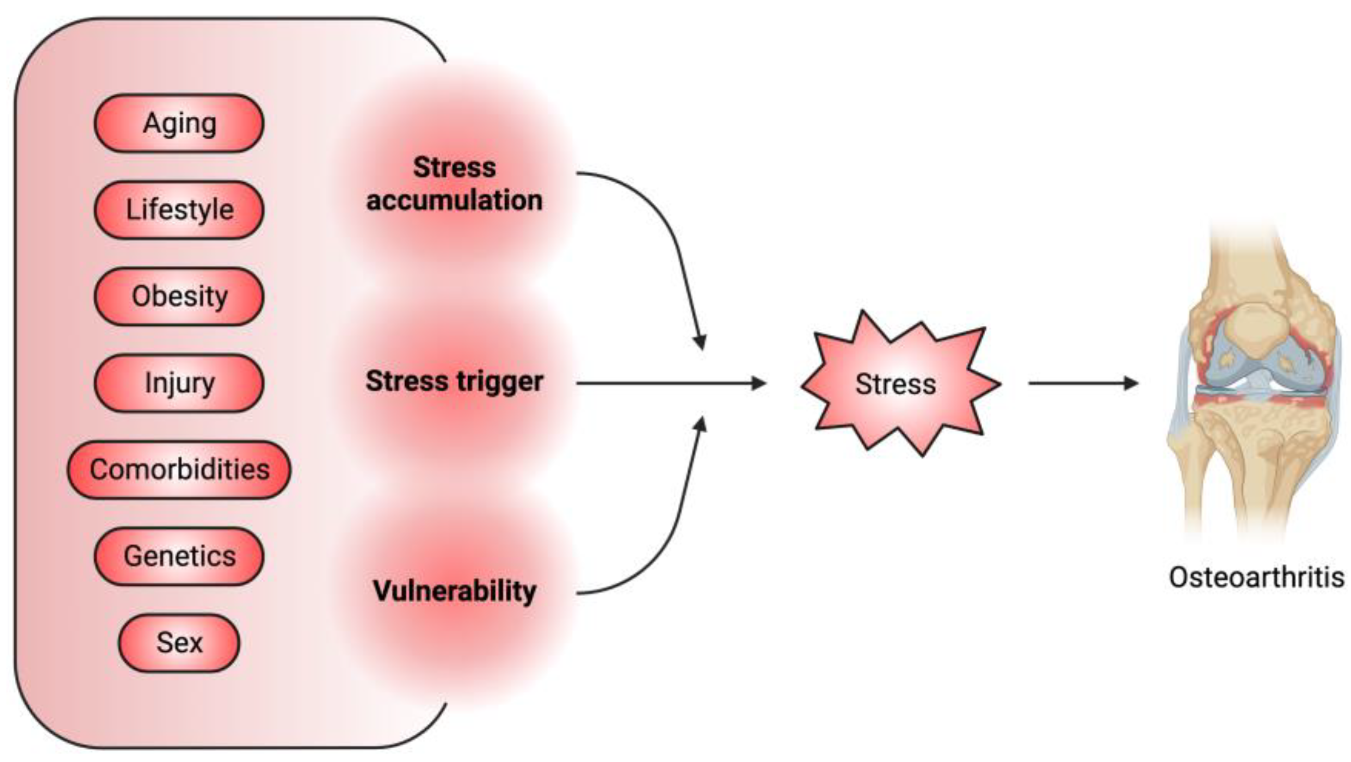 PDF) Excessive mechanical loading promotes osteoarthritis through