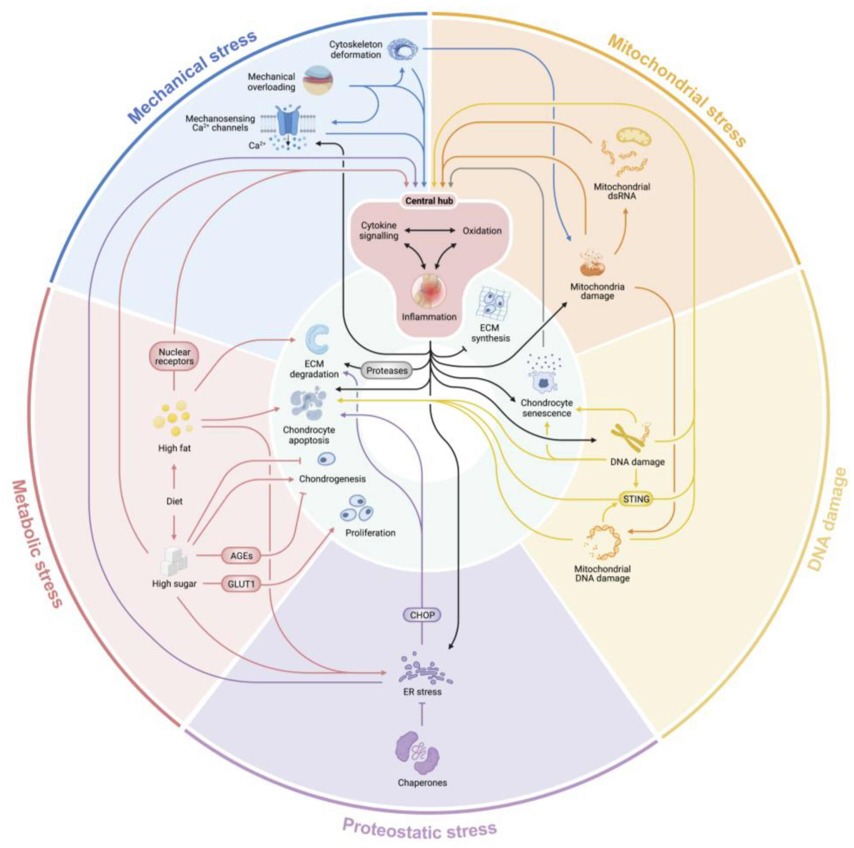Biomolecules 13 00721 g002 Biomolecules 13 00721 g002