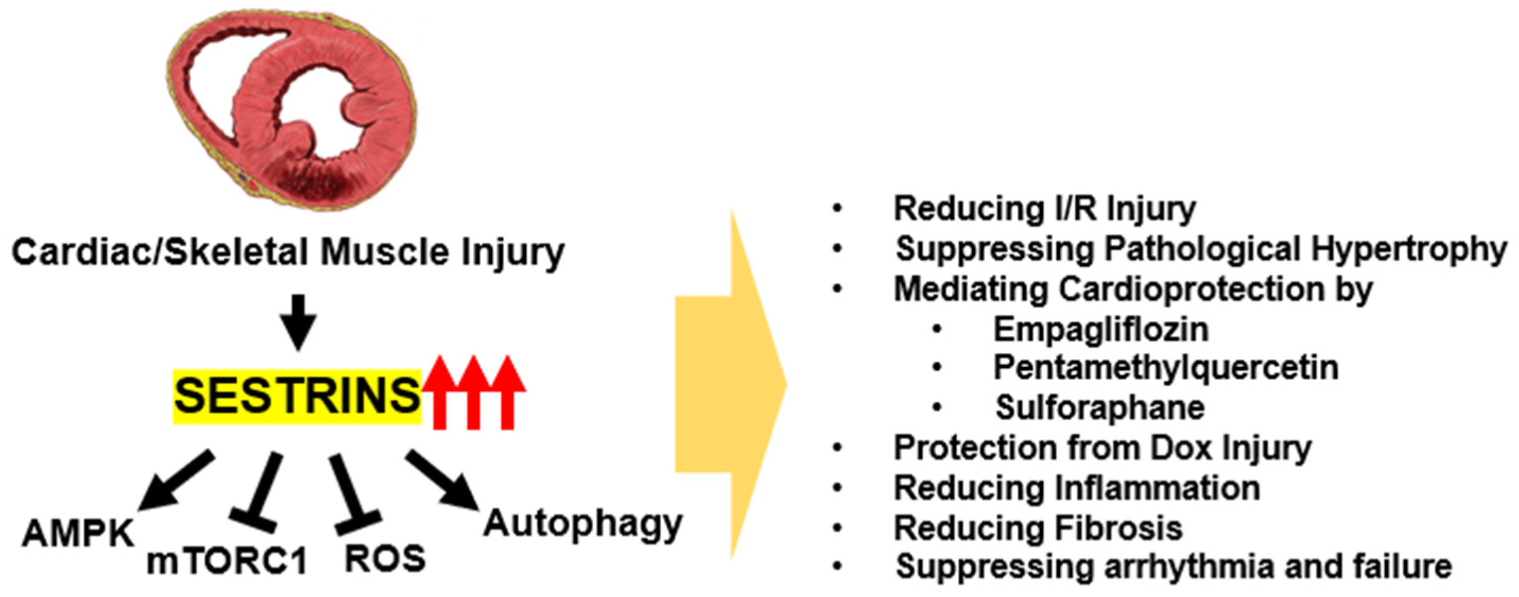 Biomolecules 13 00722 g002