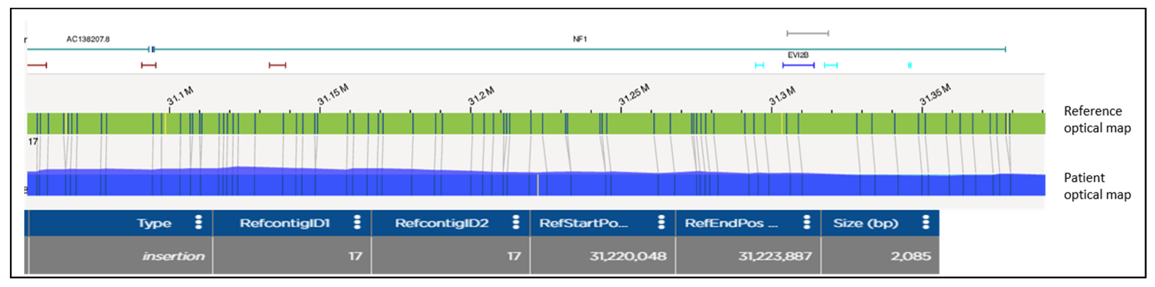 Biomolecules 13 00725 g002 Biomolecules 13 00725 g002