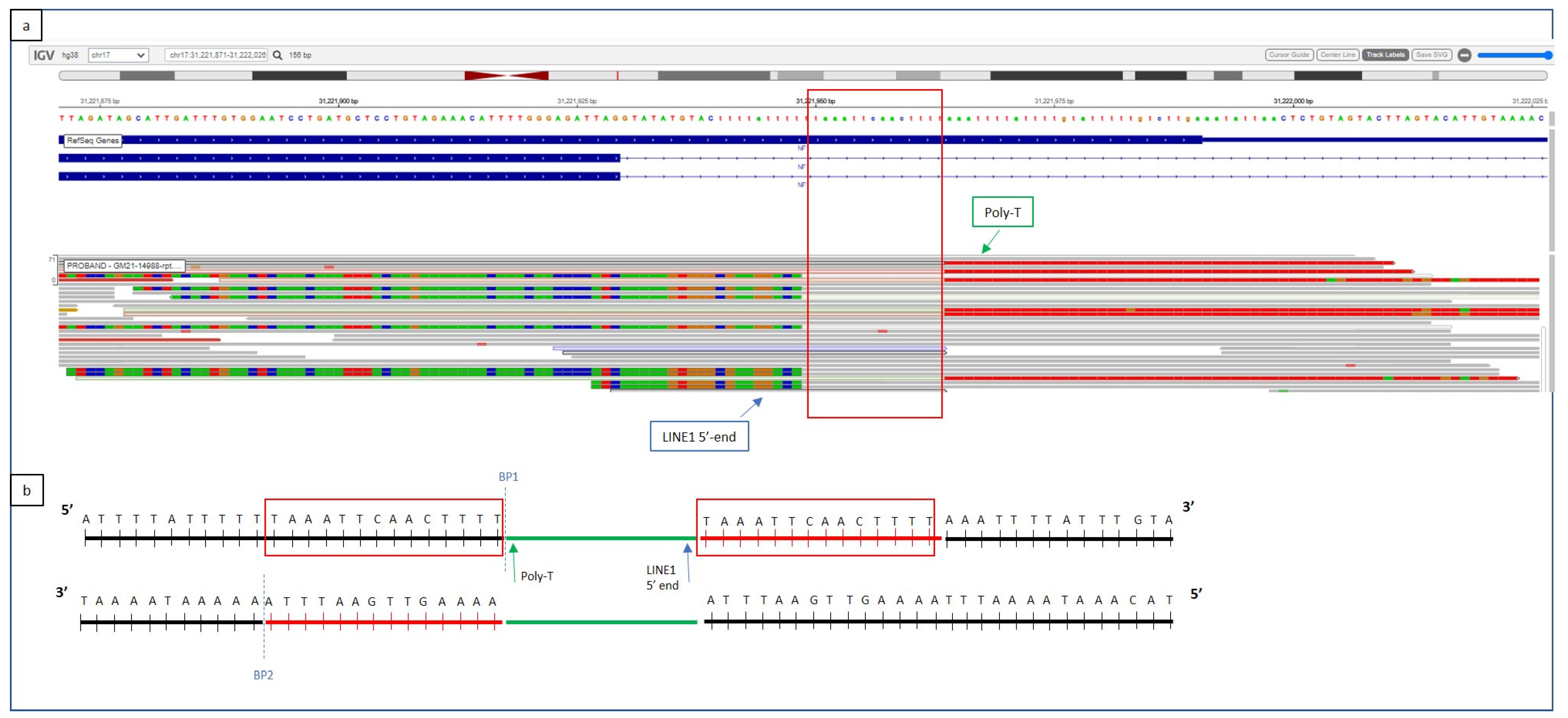 Biomolecules 13 00725 g003 Biomolecules 13 00725 g003