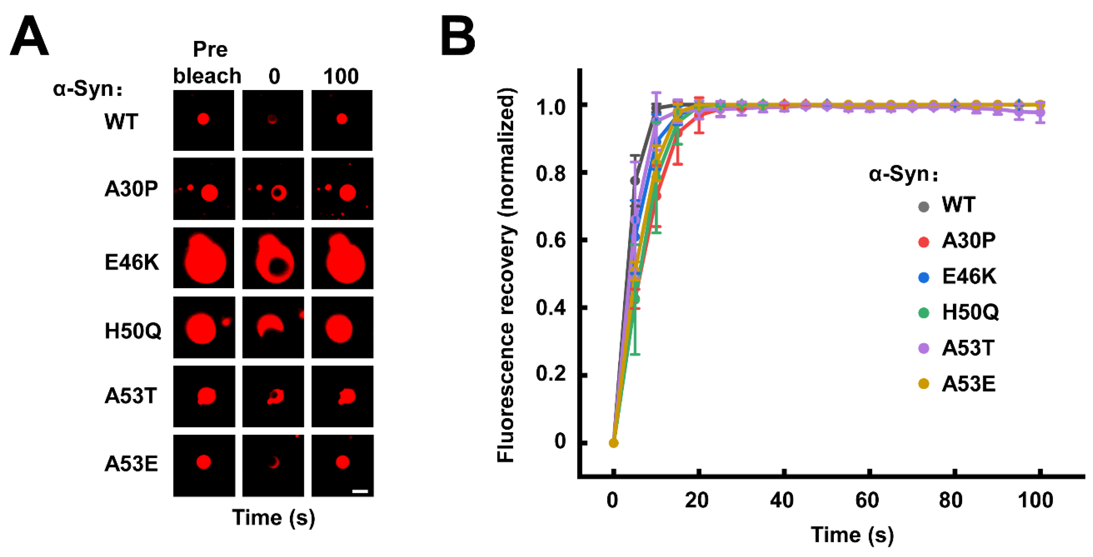 Biomolecules 13 00726 g002 Biomolecules 13 00726 g002