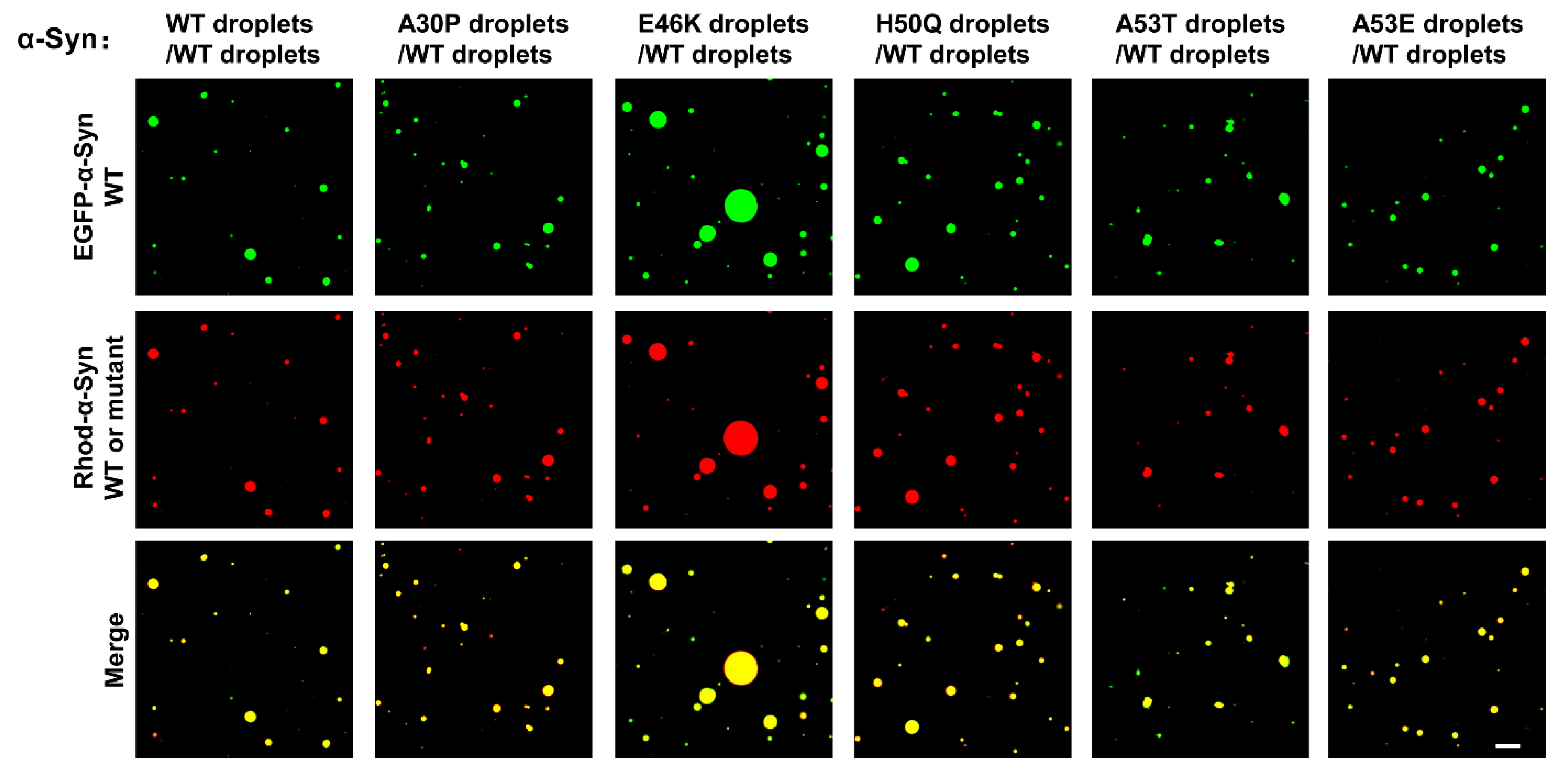 Biomolecules 13 00726 g003 Biomolecules 13 00726 g003