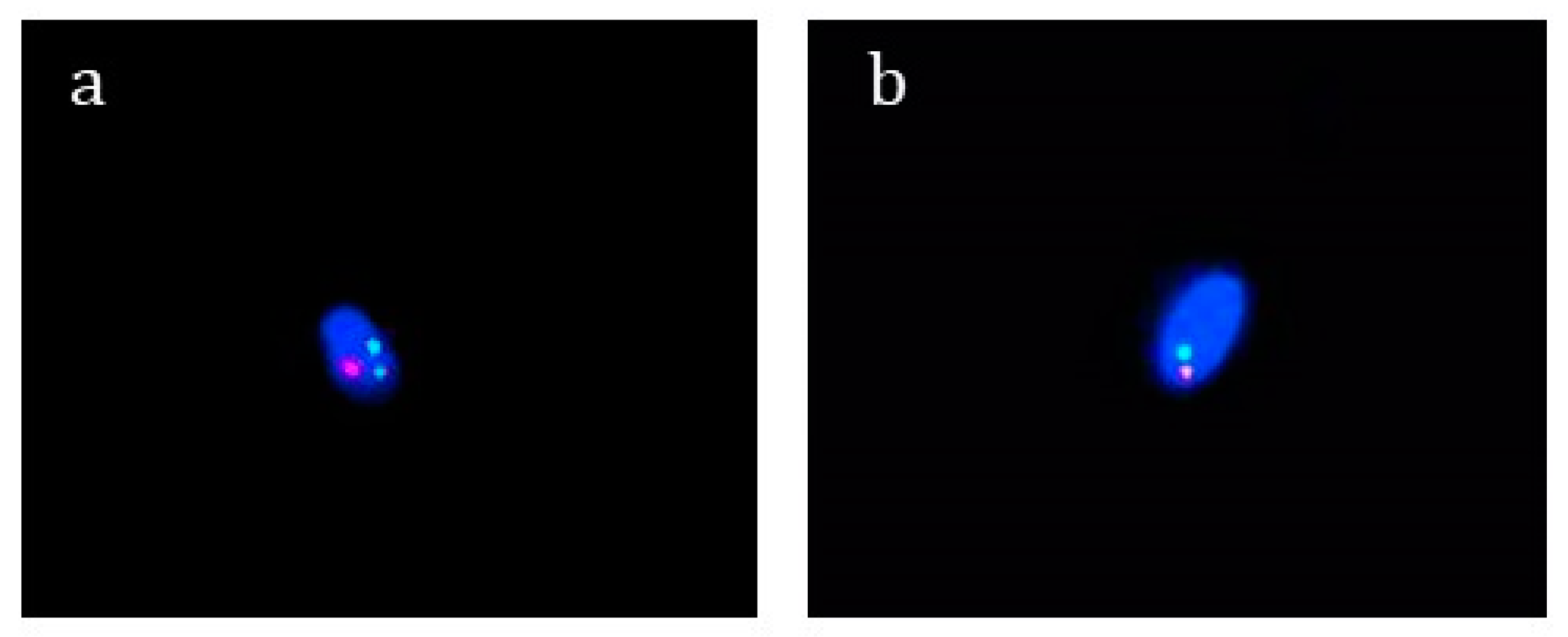 Biomolecules 13 00729 g005