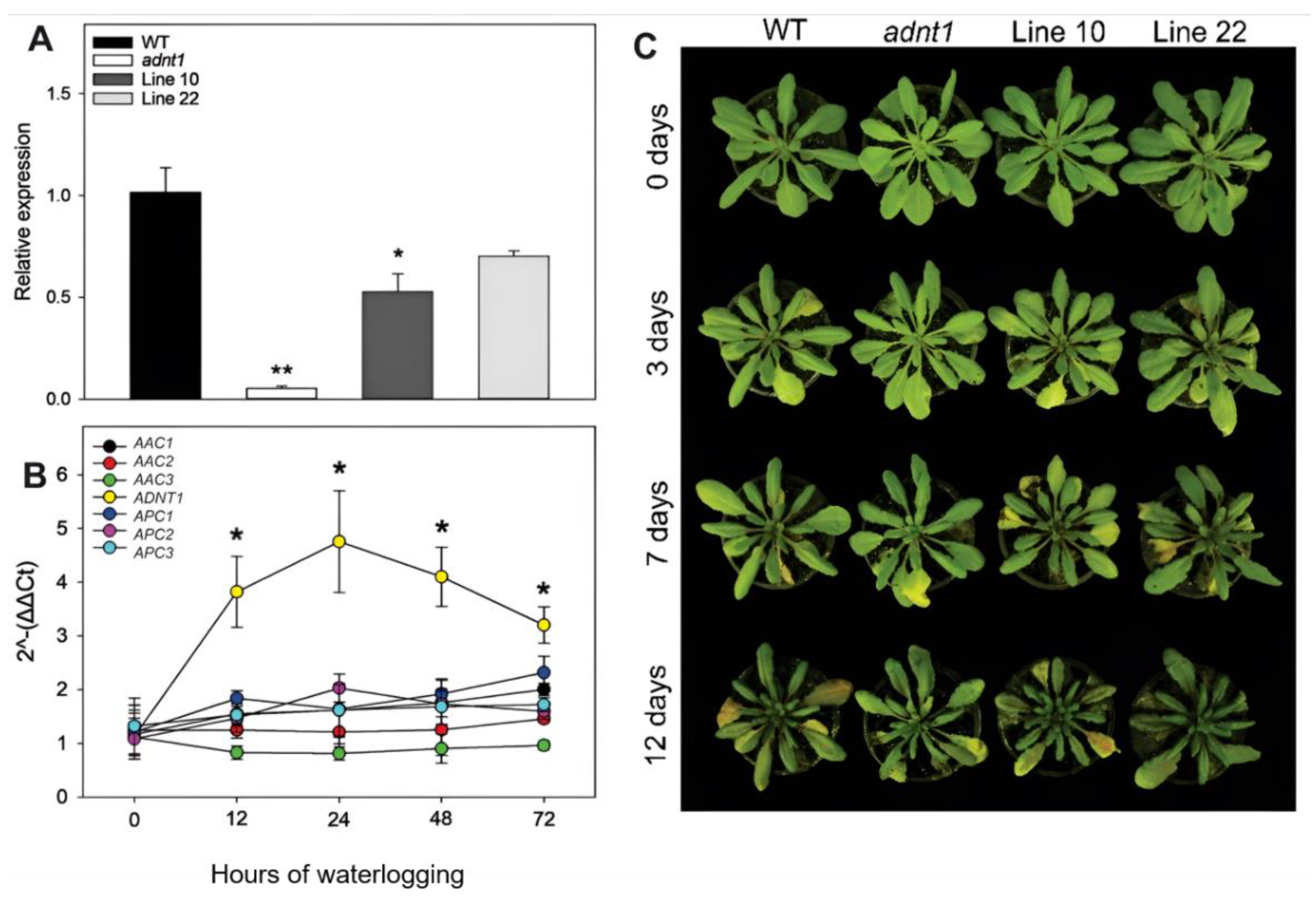 Biomolecules 13 00731 g001