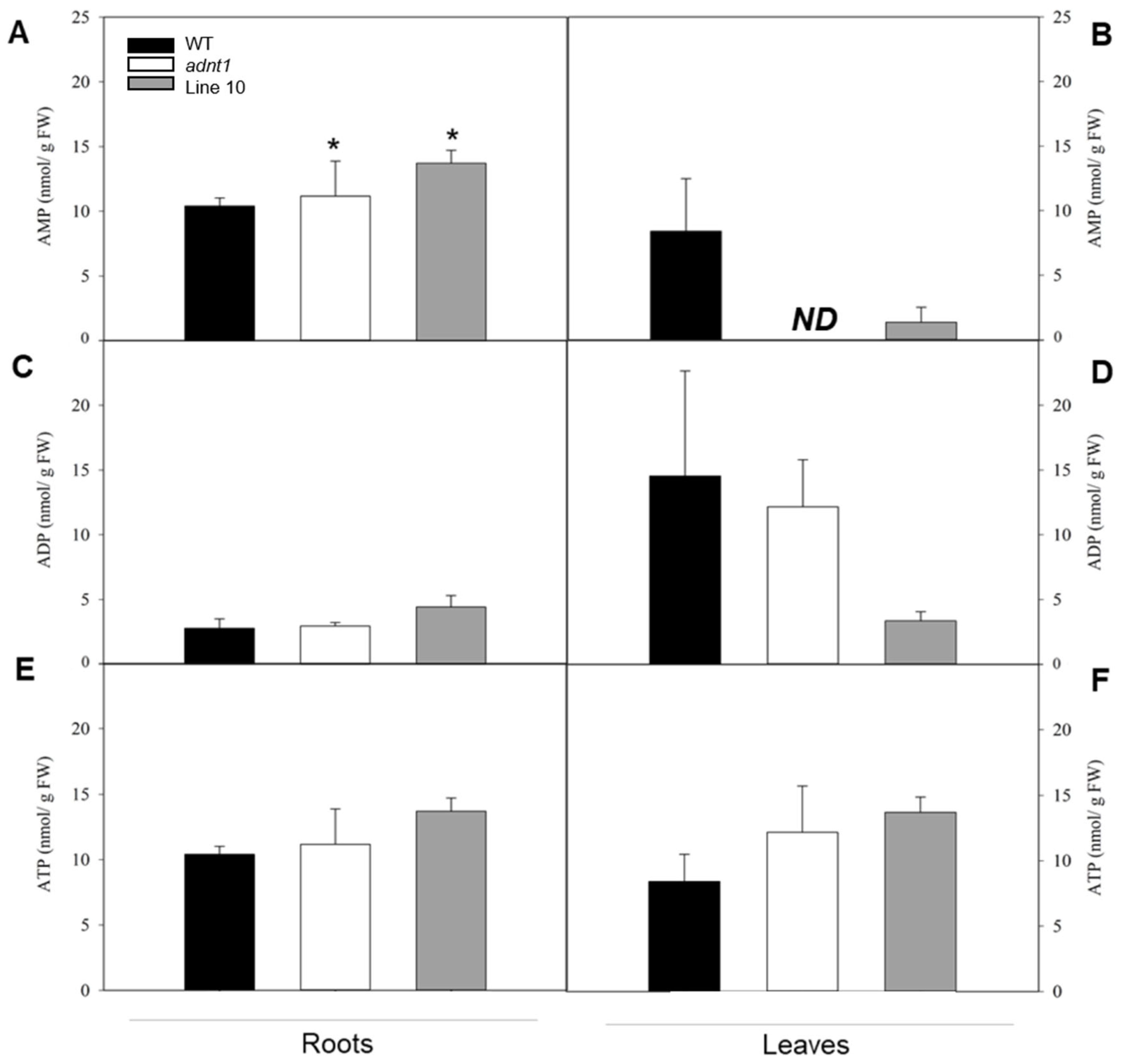 Biomolecules 13 00731 g008