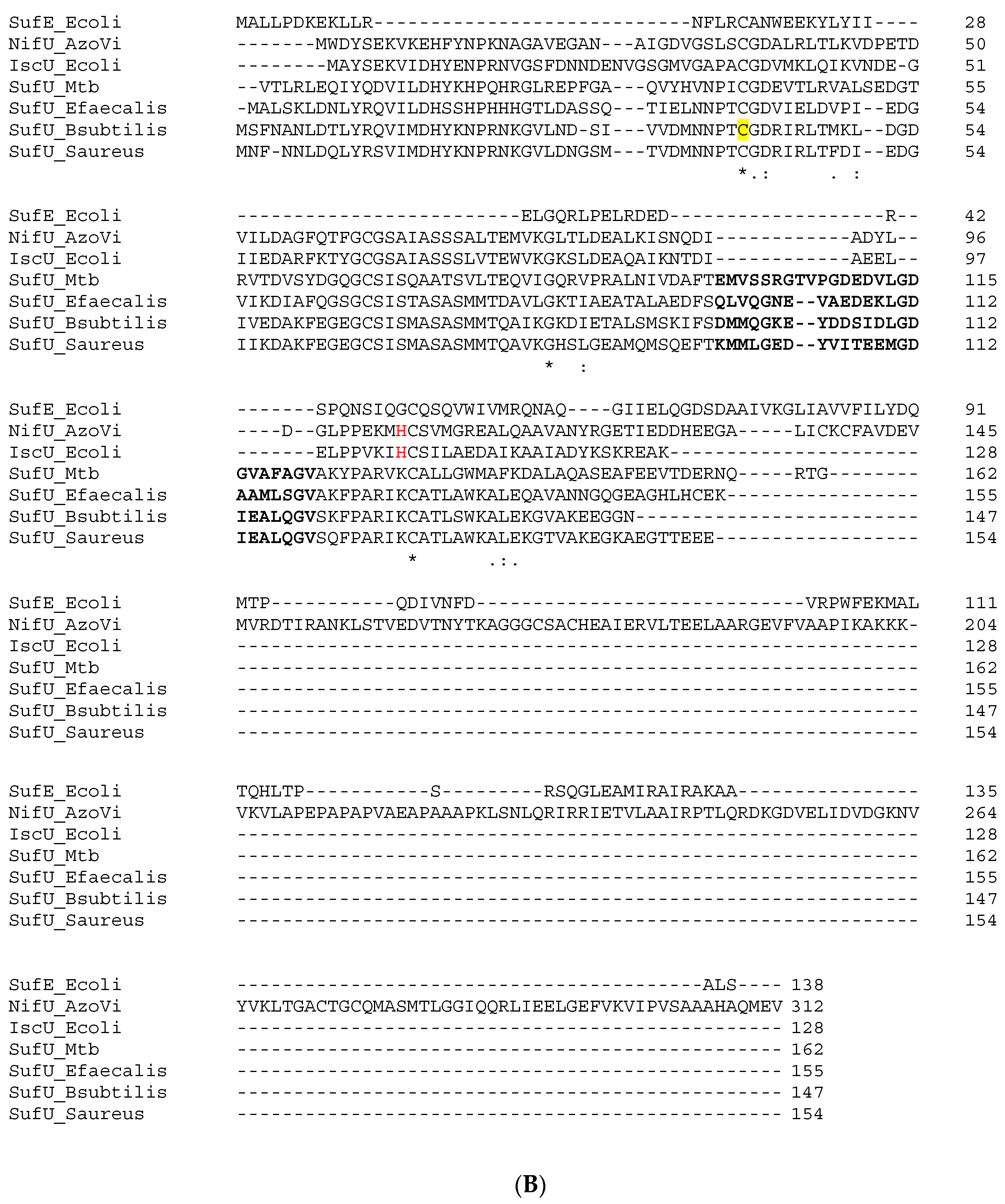 Biomolecules 13 00732 g002b Biomolecules 13 00732 g002b
