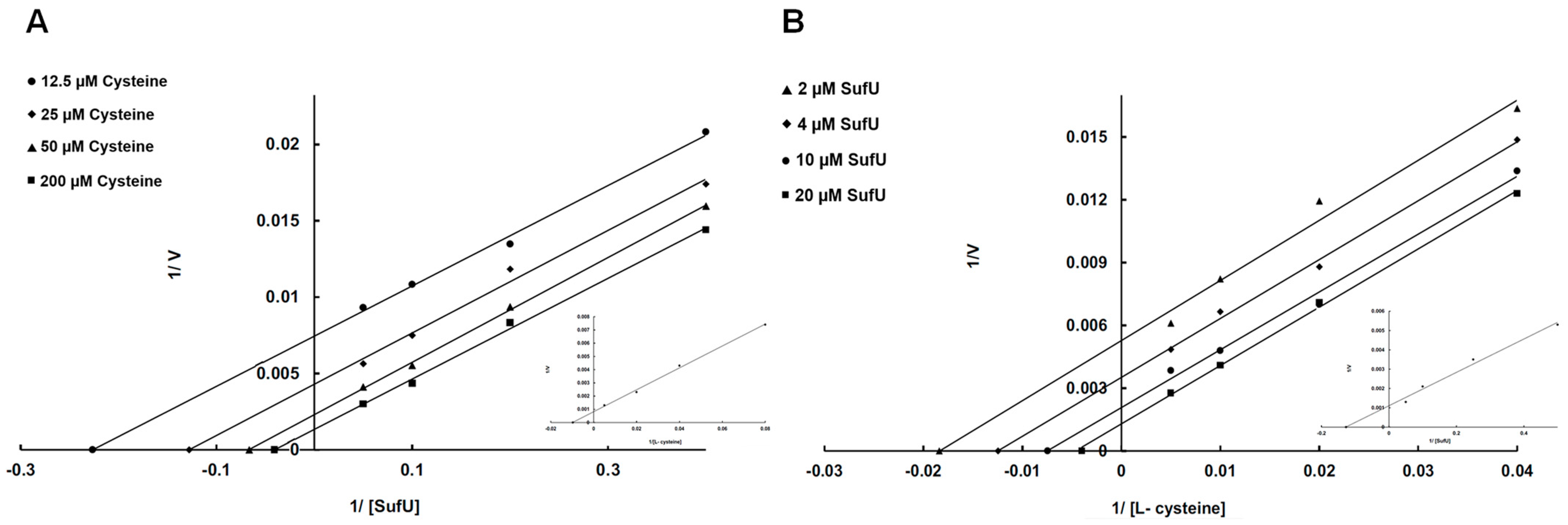 Biomolecules 13 00732 g009 Biomolecules 13 00732 g009
