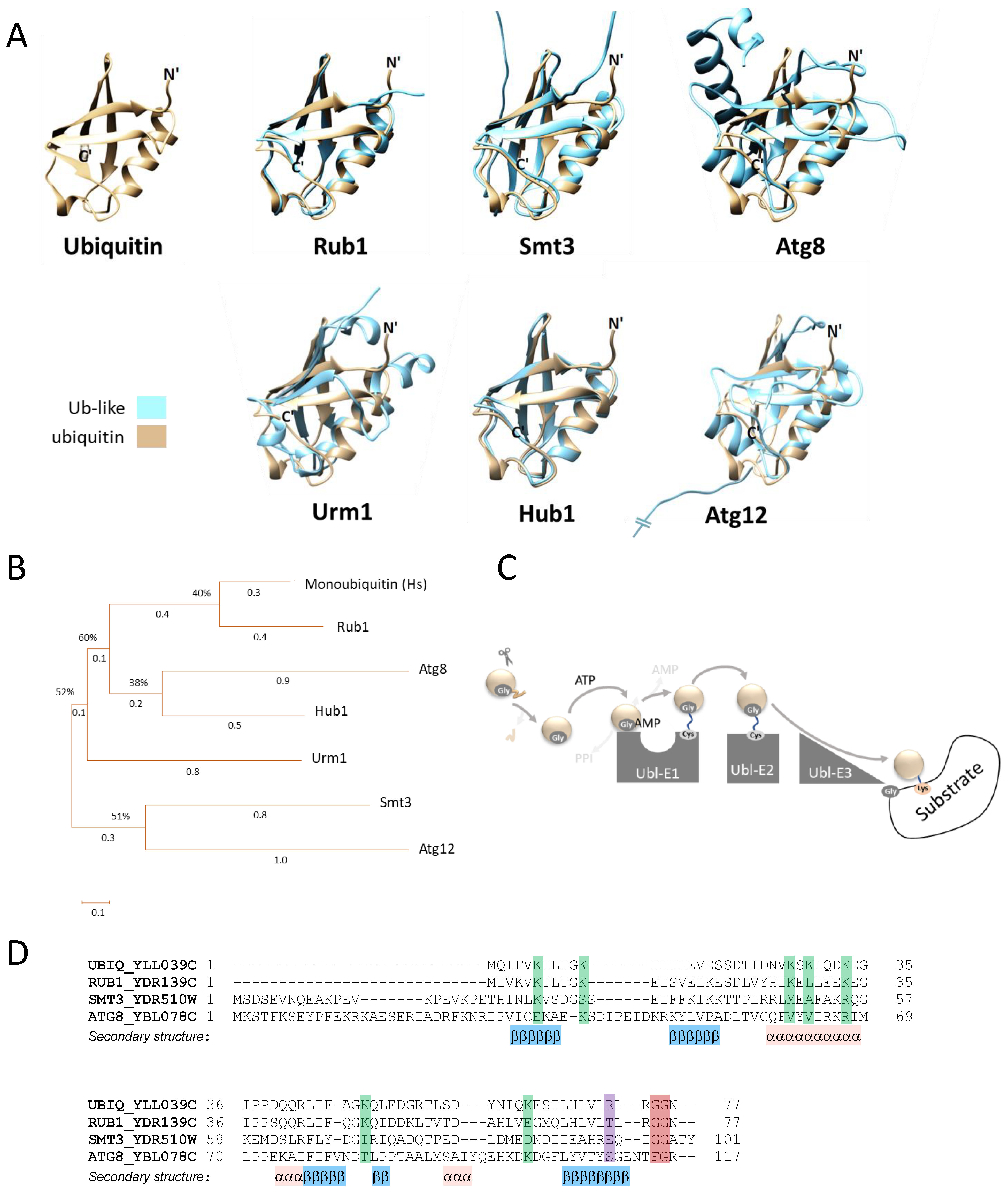 Biomolecules 13 00734 g001