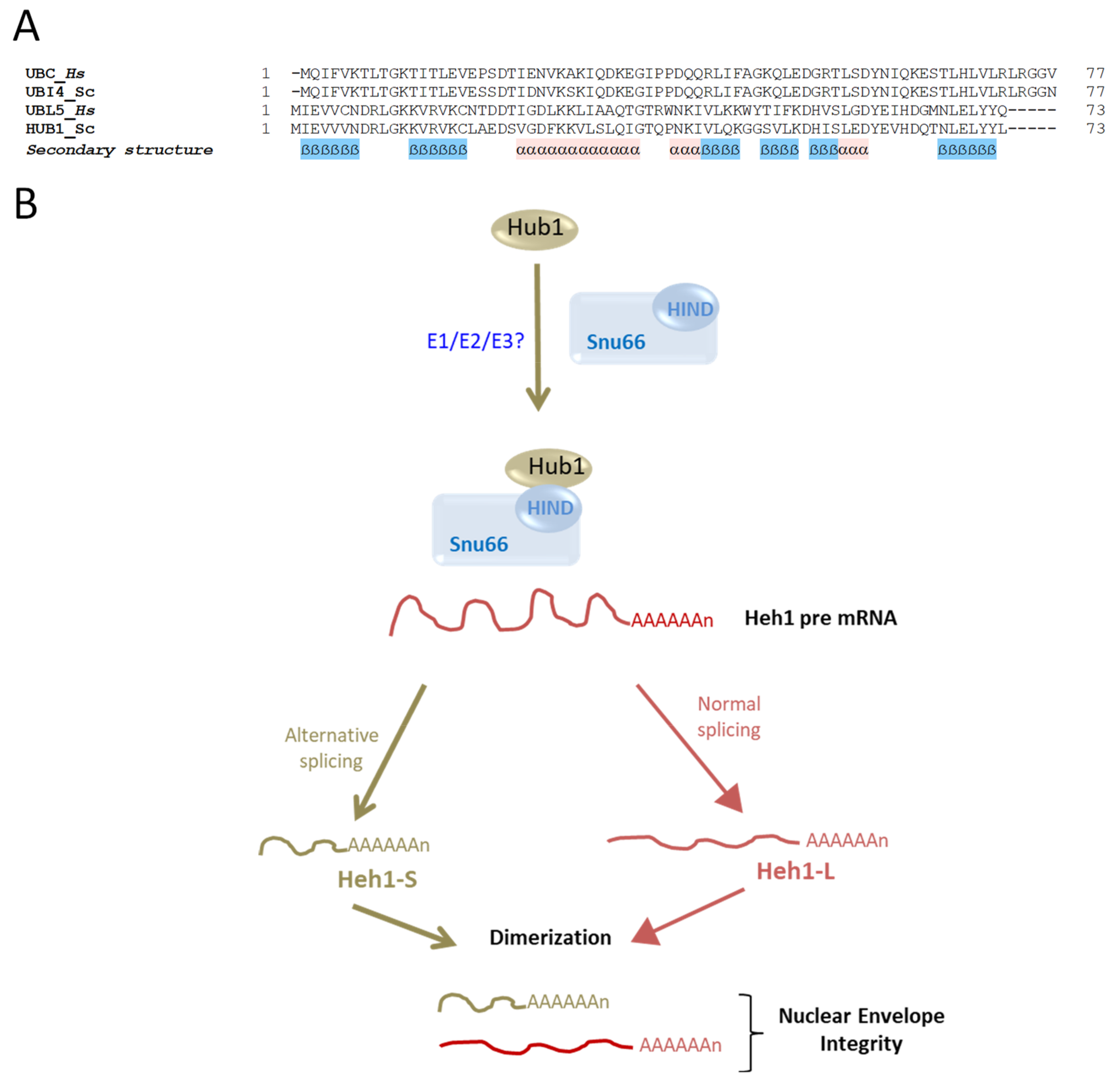 Biomolecules 13 00734 g006