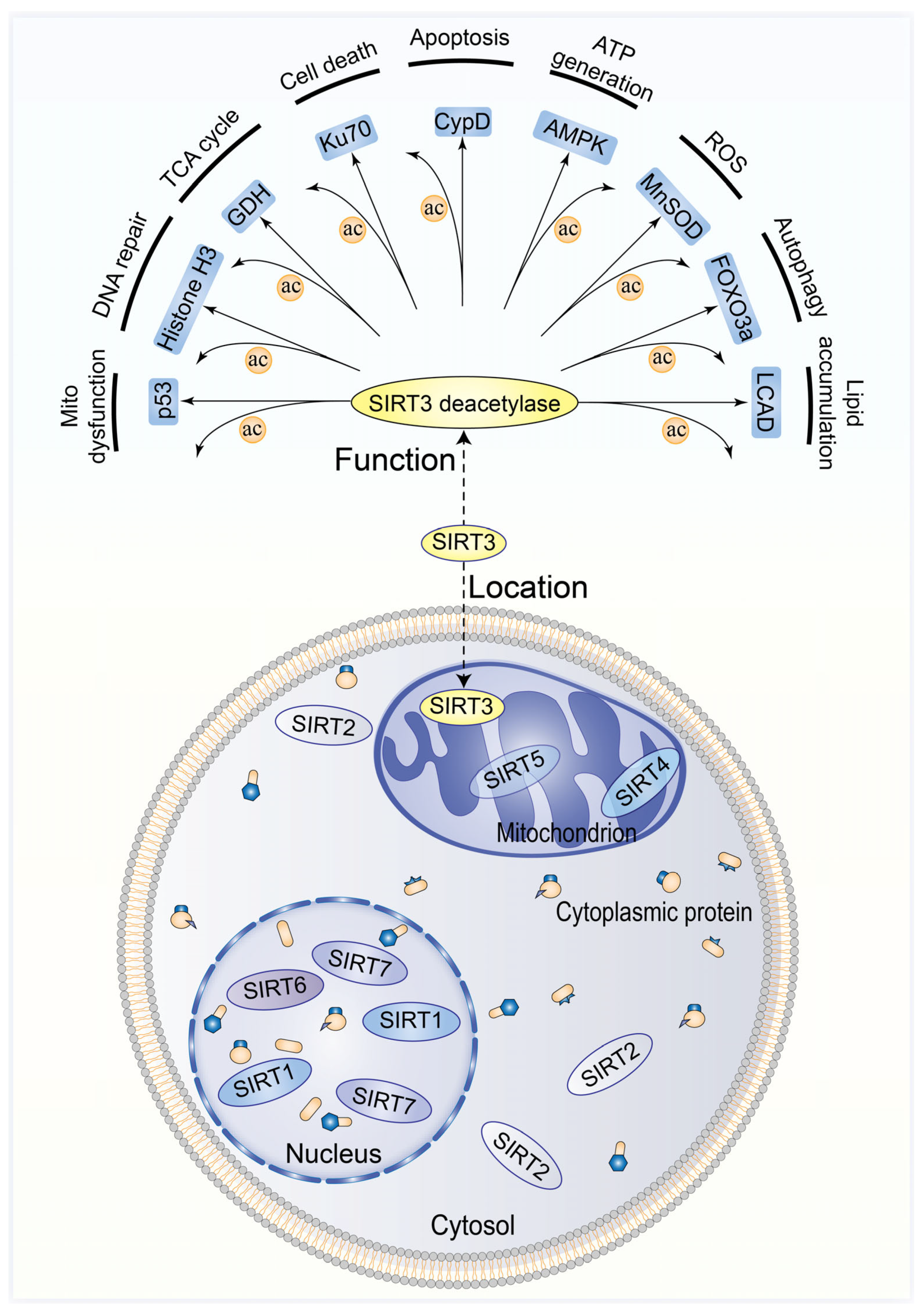 Biomolecules 13 00735 g001 Biomolecules 13 00735 g001
