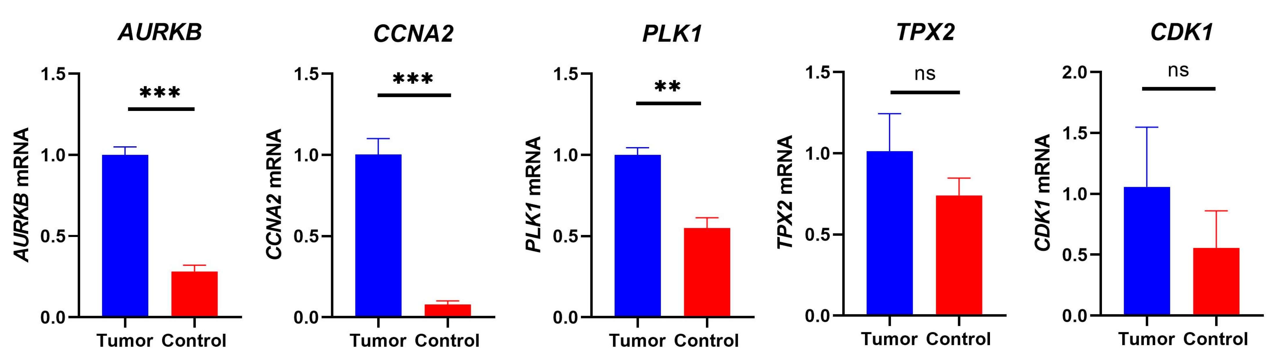 Biomolecules 13 00736 g010 Biomolecules 13 00736 g010