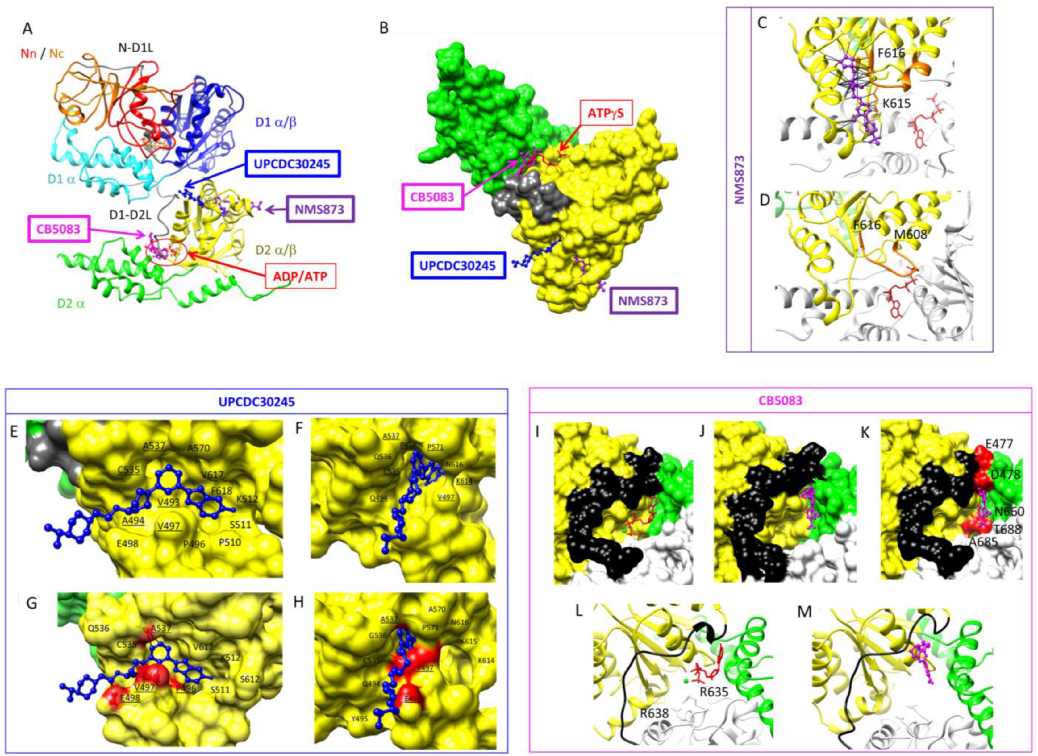 Biomolecules 13 00737 g005 Biomolecules 13 00737 g005