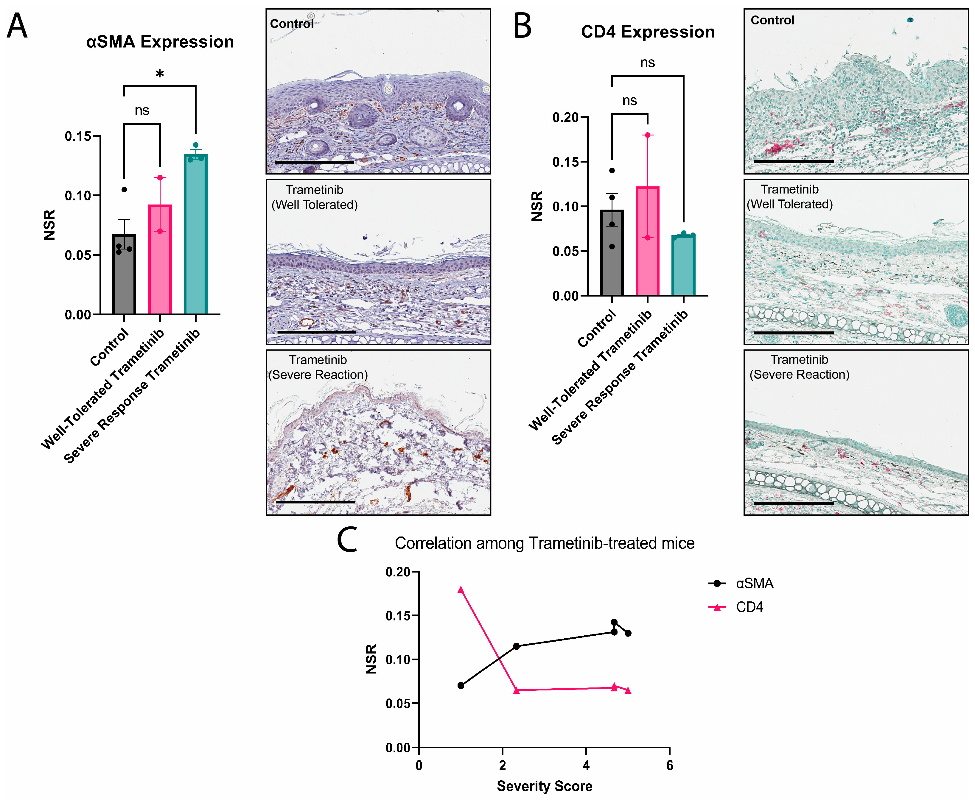 Biomolecules 13 00740 g003 Biomolecules 13 00740 g003