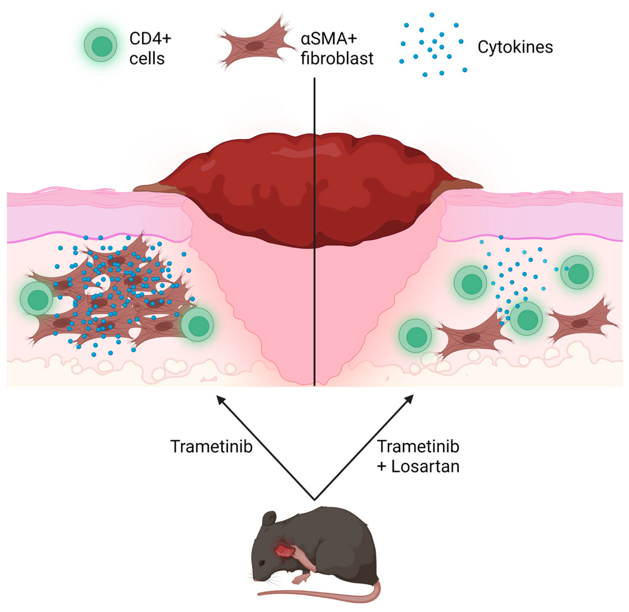 Biomolecules 13 00740 g005 Biomolecules 13 00740 g005