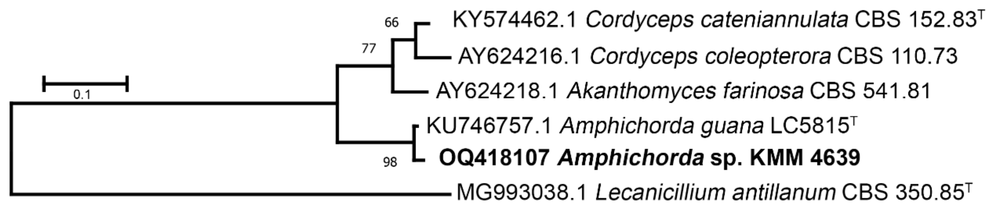 Biomolecules 13 00741 g003