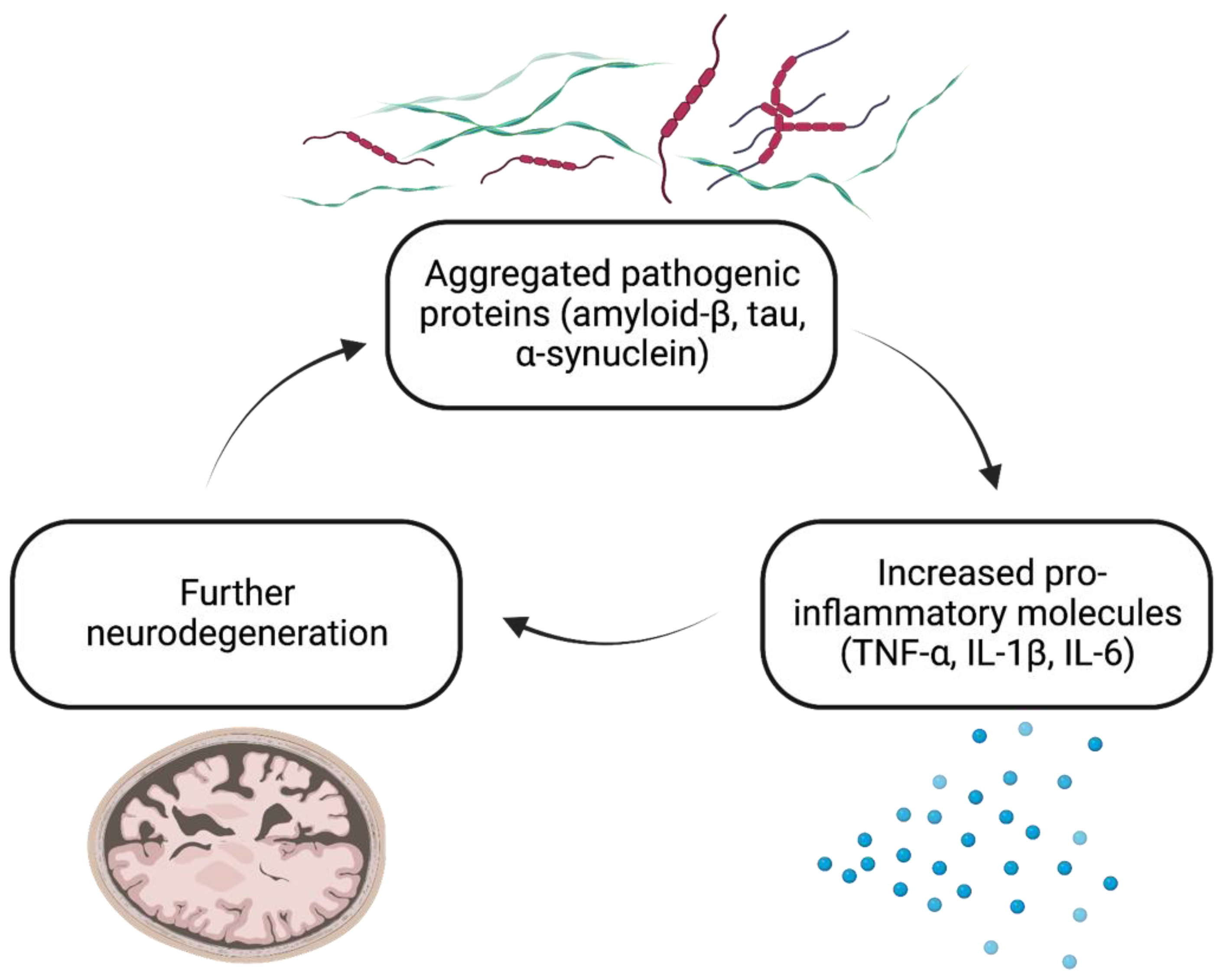 Biomolecules 13 00747 g001 Biomolecules 13 00747 g001