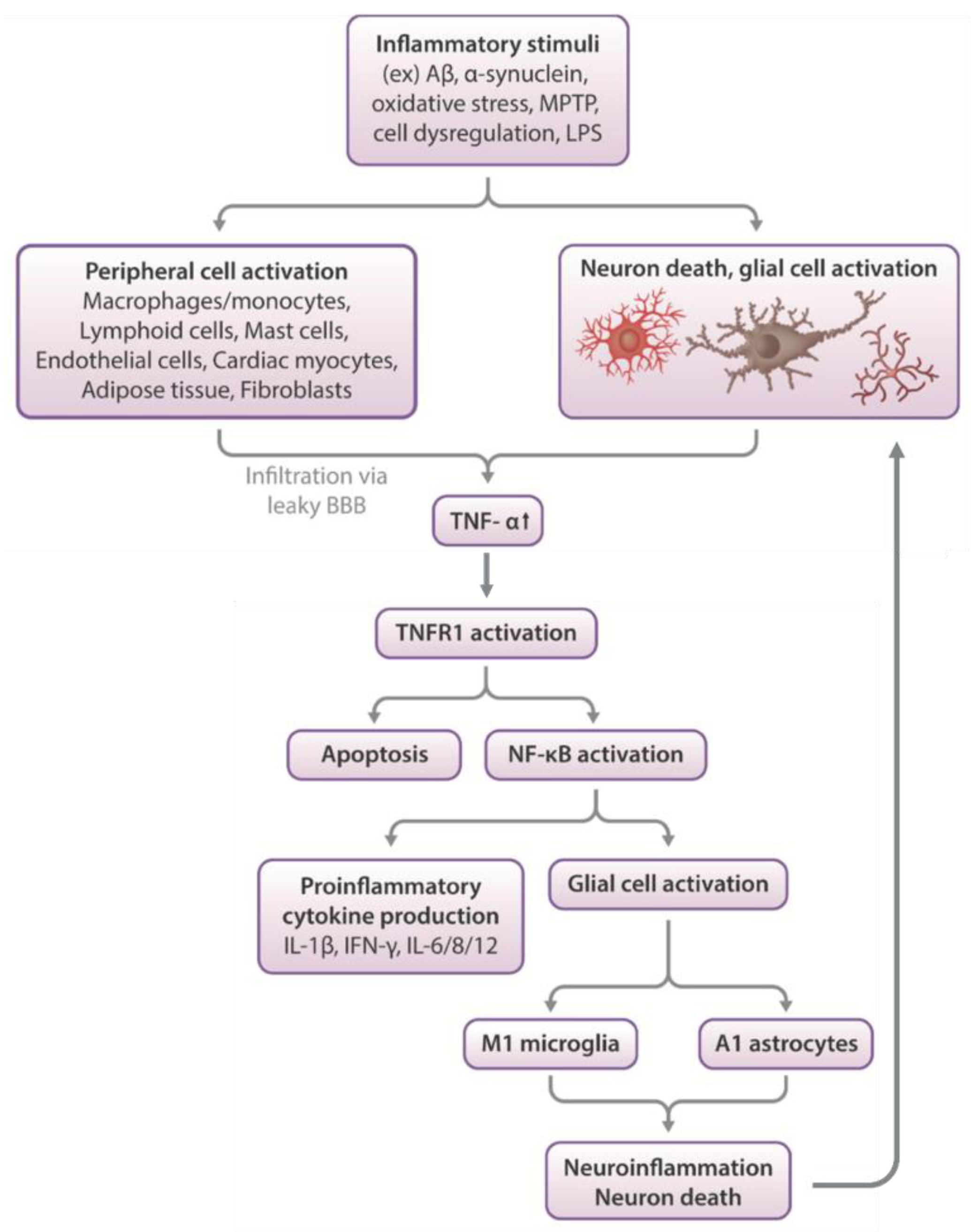 Biomolecules 13 00747 g003 Biomolecules 13 00747 g003