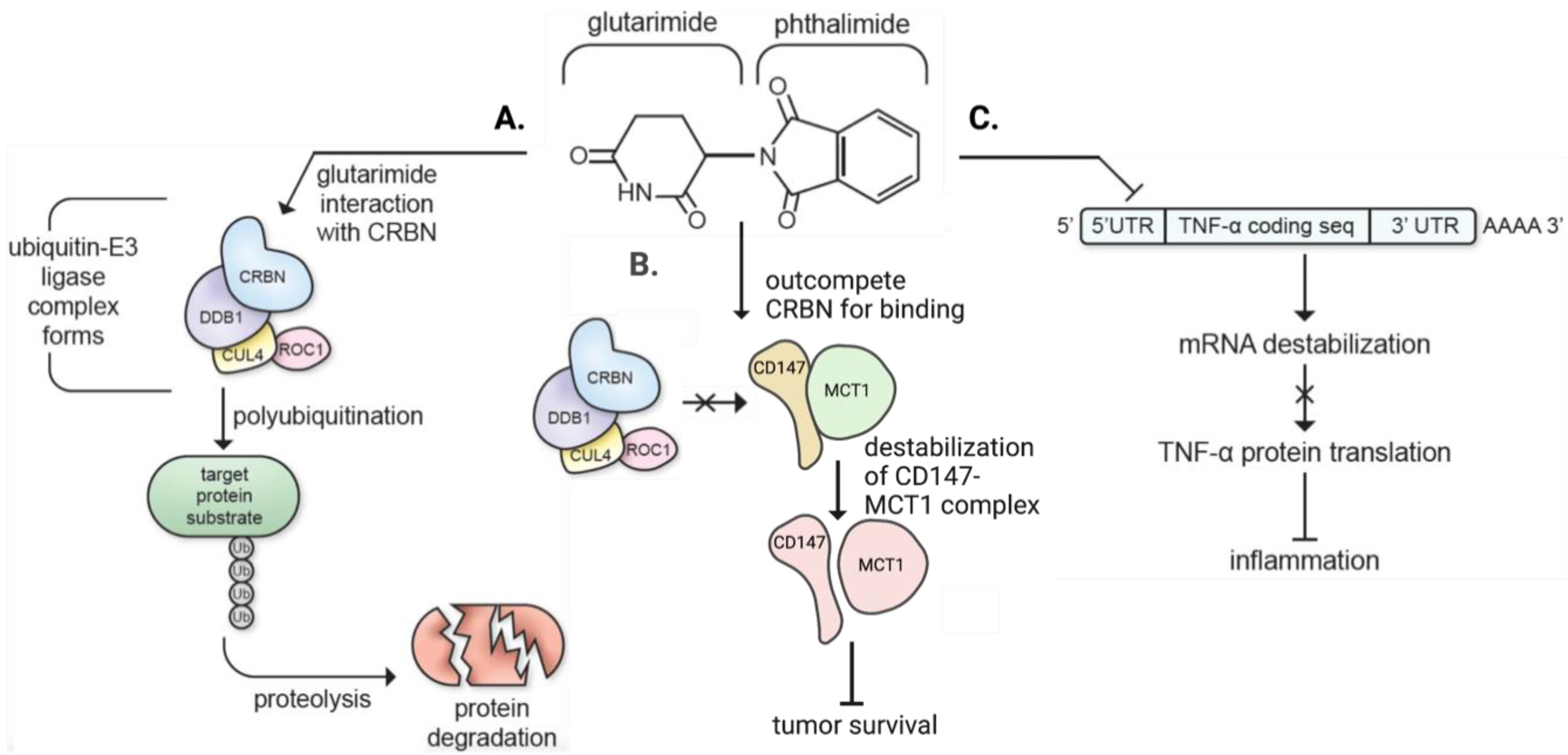 Biomolecules 13 00747 g004 Biomolecules 13 00747 g004