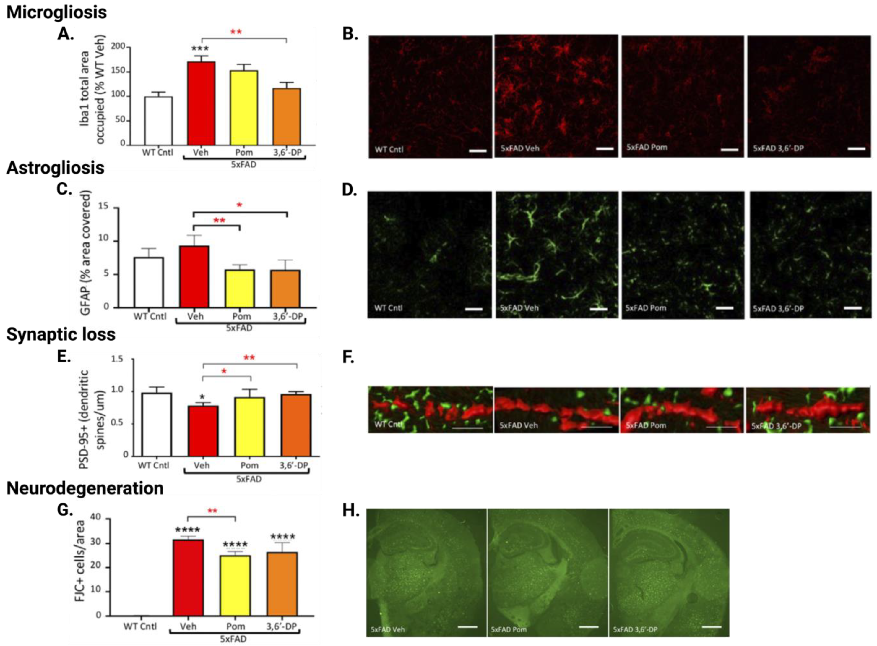 Biomolecules 13 00747 g012 Biomolecules 13 00747 g012