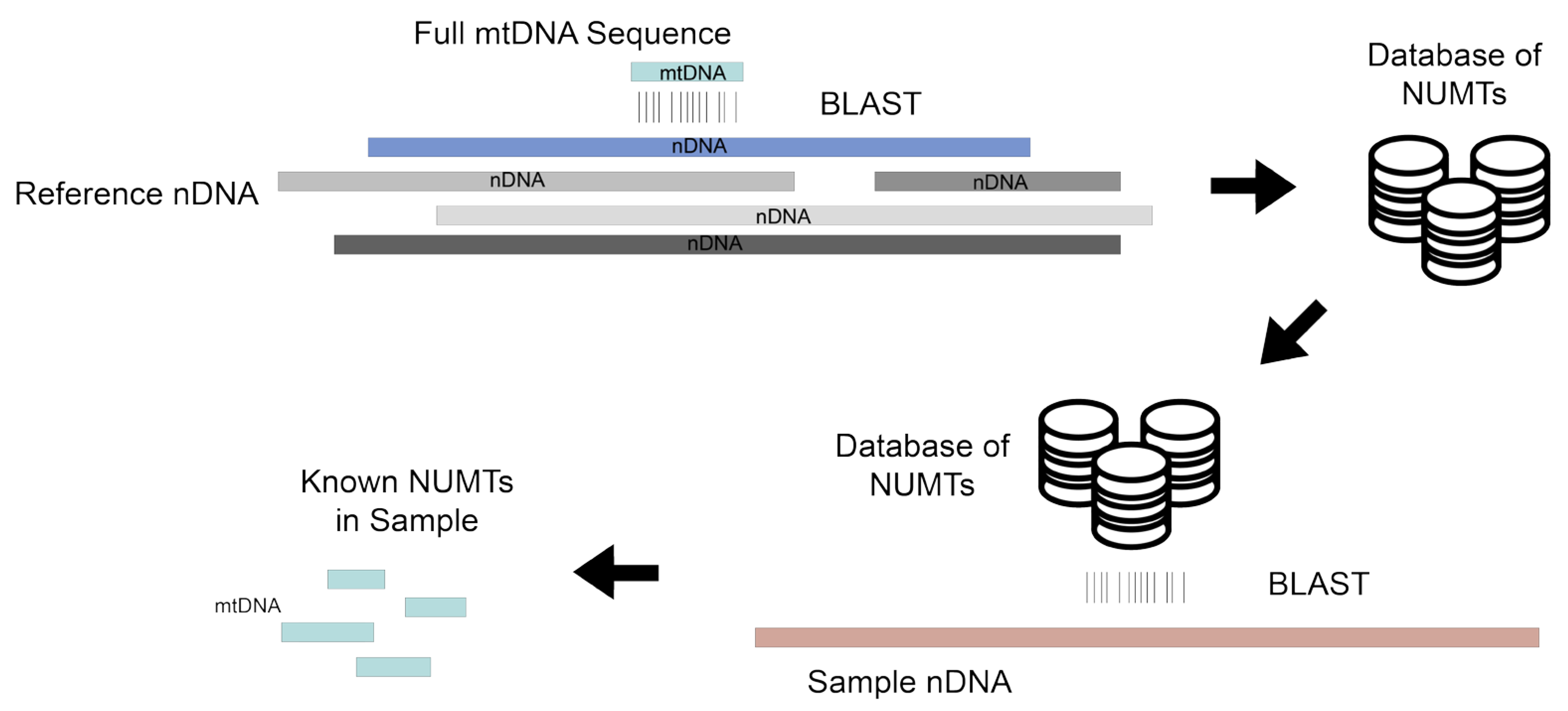 Biomolecules 13 00753 g002 Biomolecules 13 00753 g002