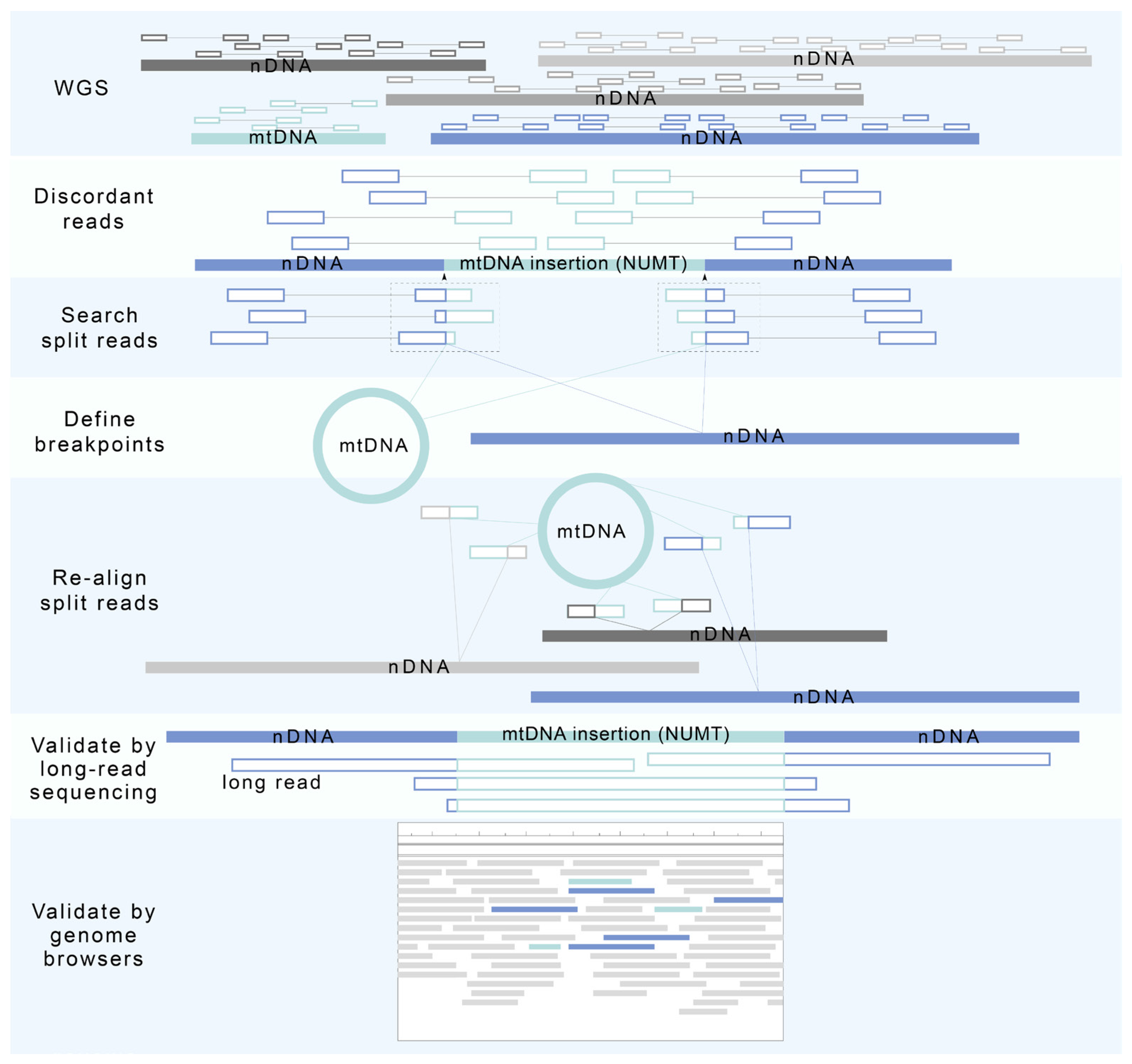 Biomolecules 13 00753 g003 Biomolecules 13 00753 g003