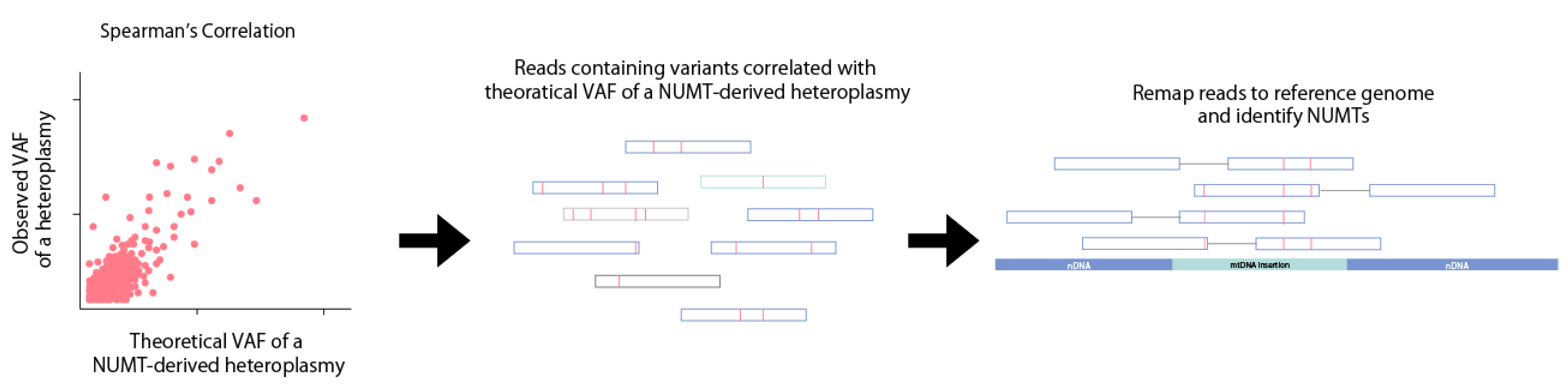 Biomolecules 13 00753 g005 Biomolecules 13 00753 g005