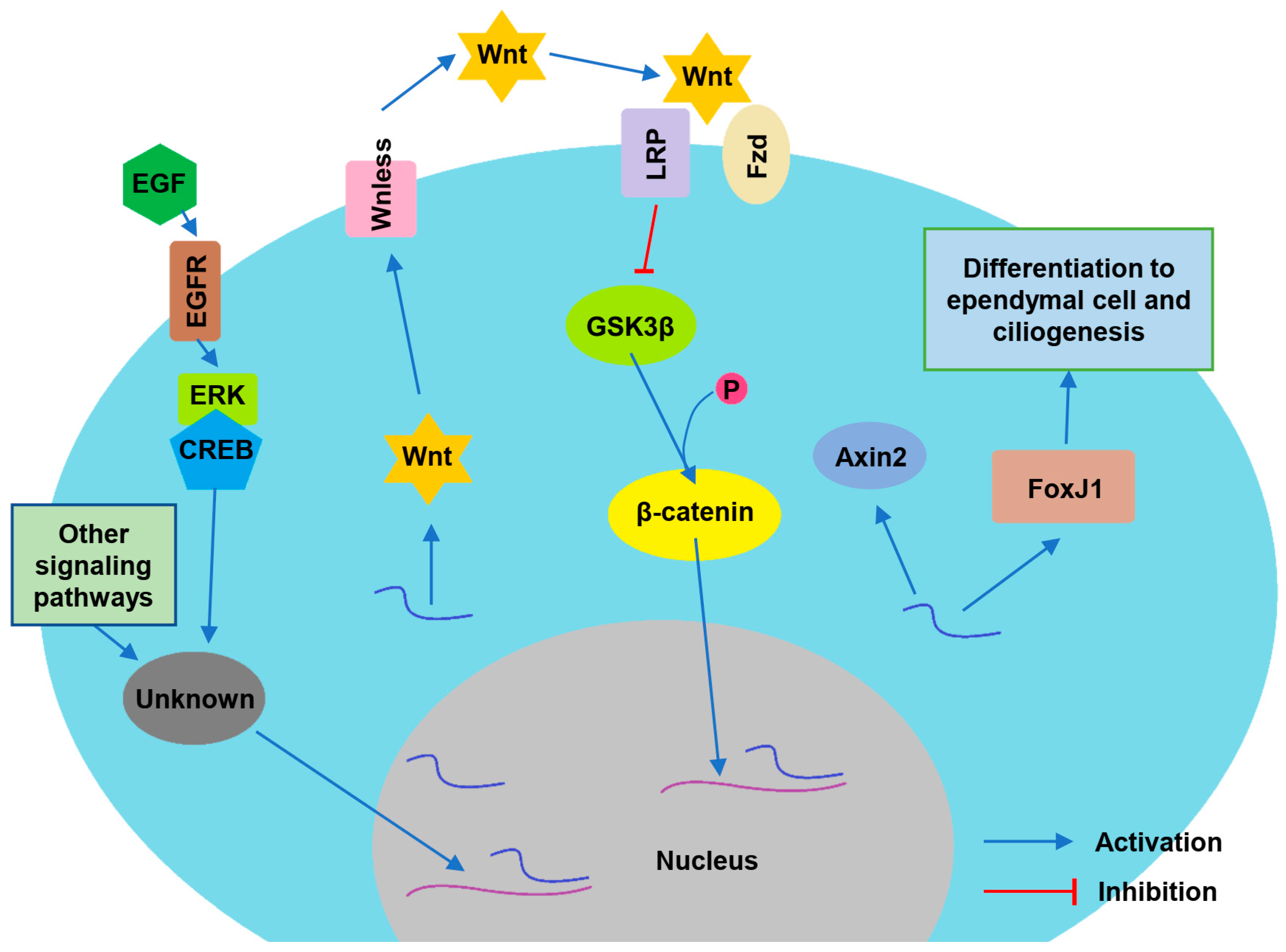 Biomolecules 13 00754 g003 Biomolecules 13 00754 g003