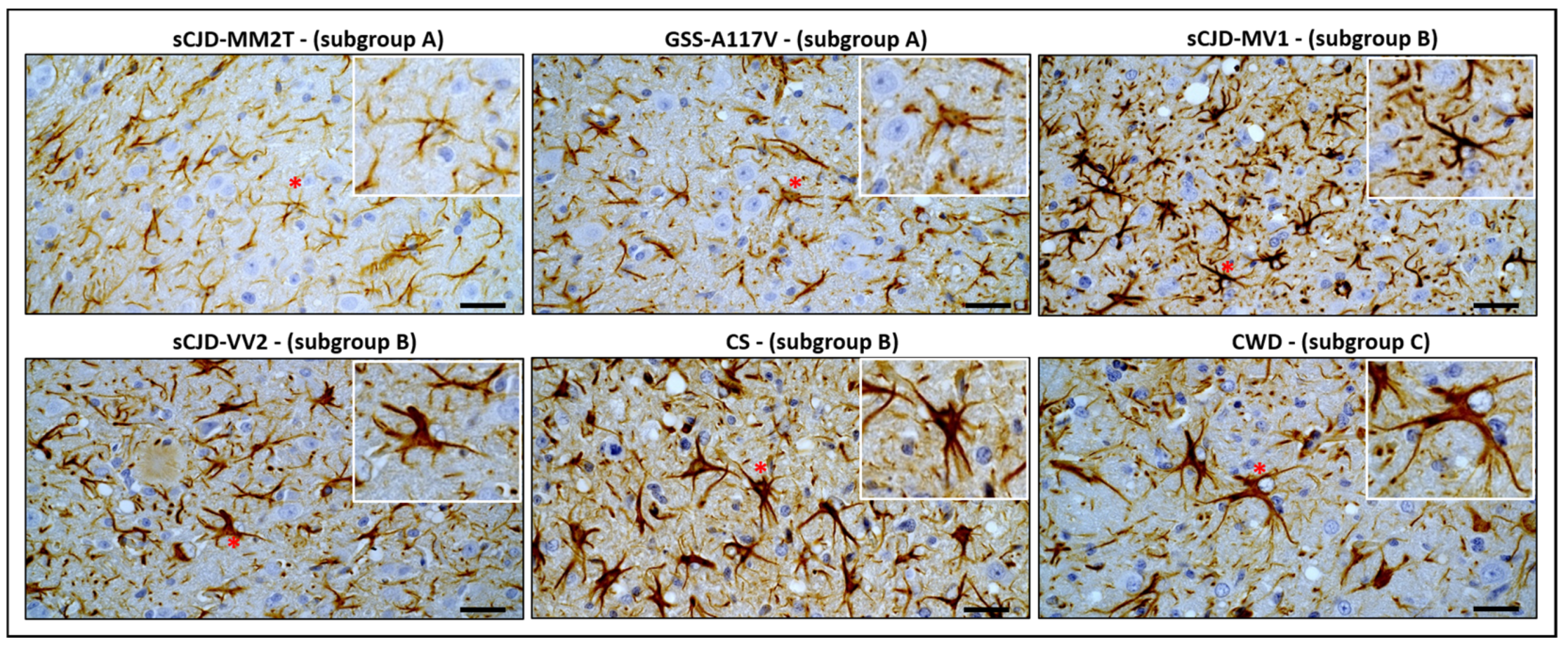 Biomolecules 13 00757 g004 Biomolecules 13 00757 g004