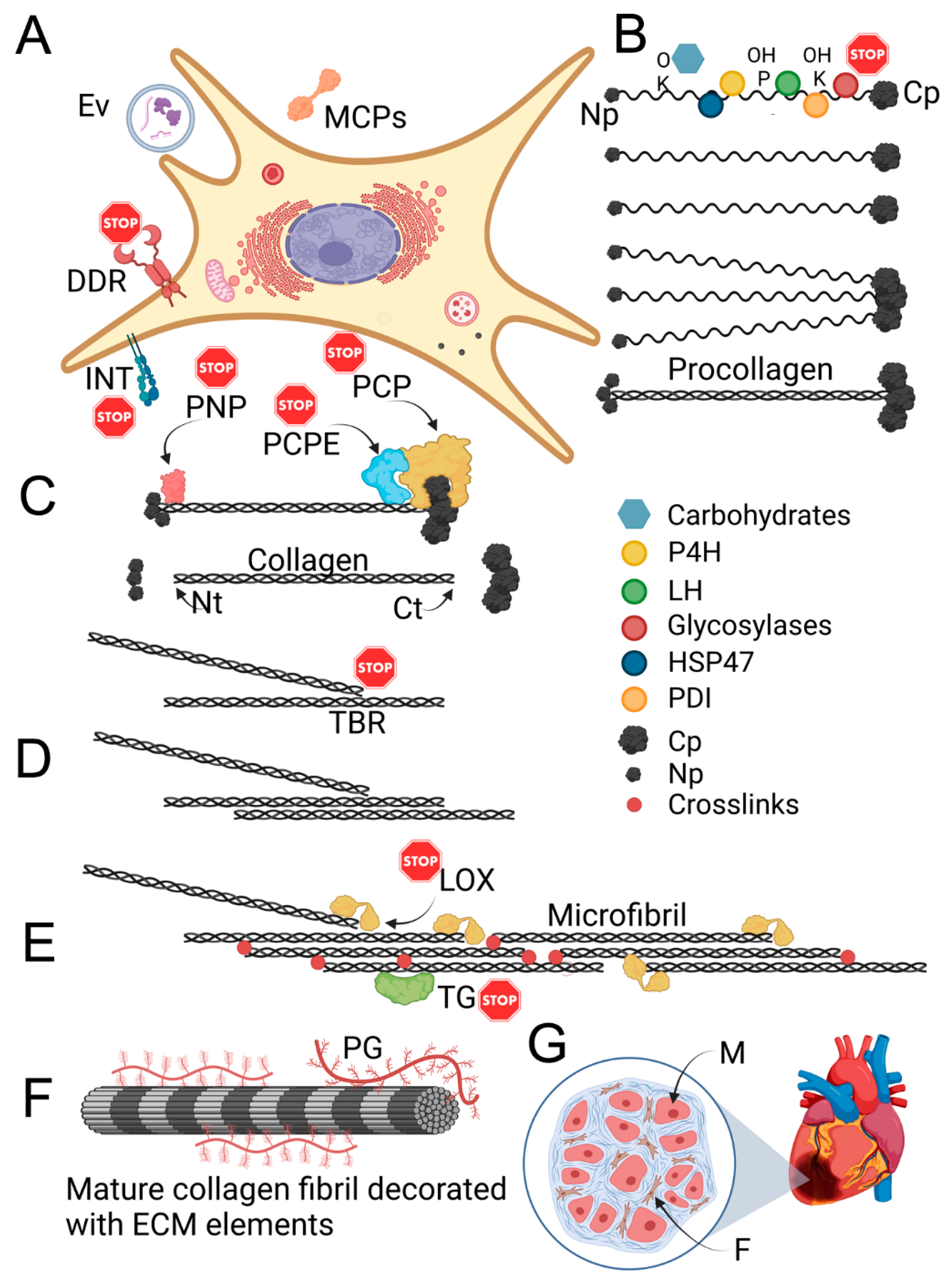 Biomolecules 13 00758 g003 Biomolecules 13 00758 g003