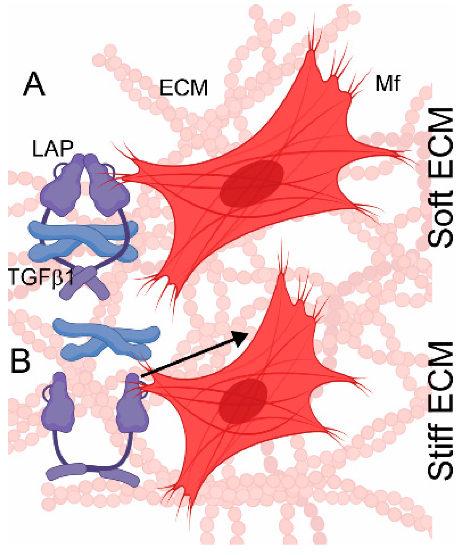 Biomolecules 13 00758 g005 Biomolecules 13 00758 g005