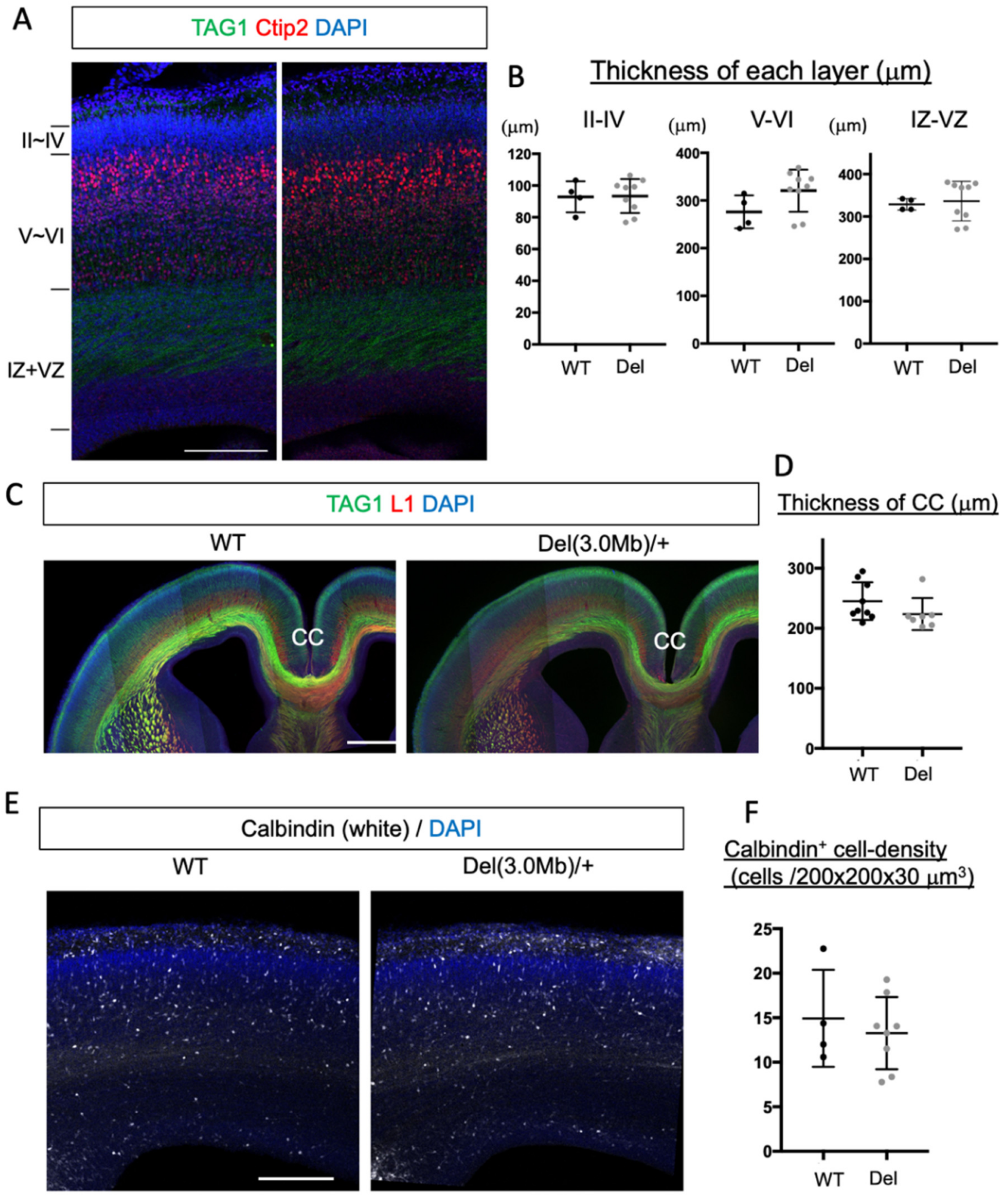 Biomolecules 13 00763 g002 Biomolecules 13 00763 g002