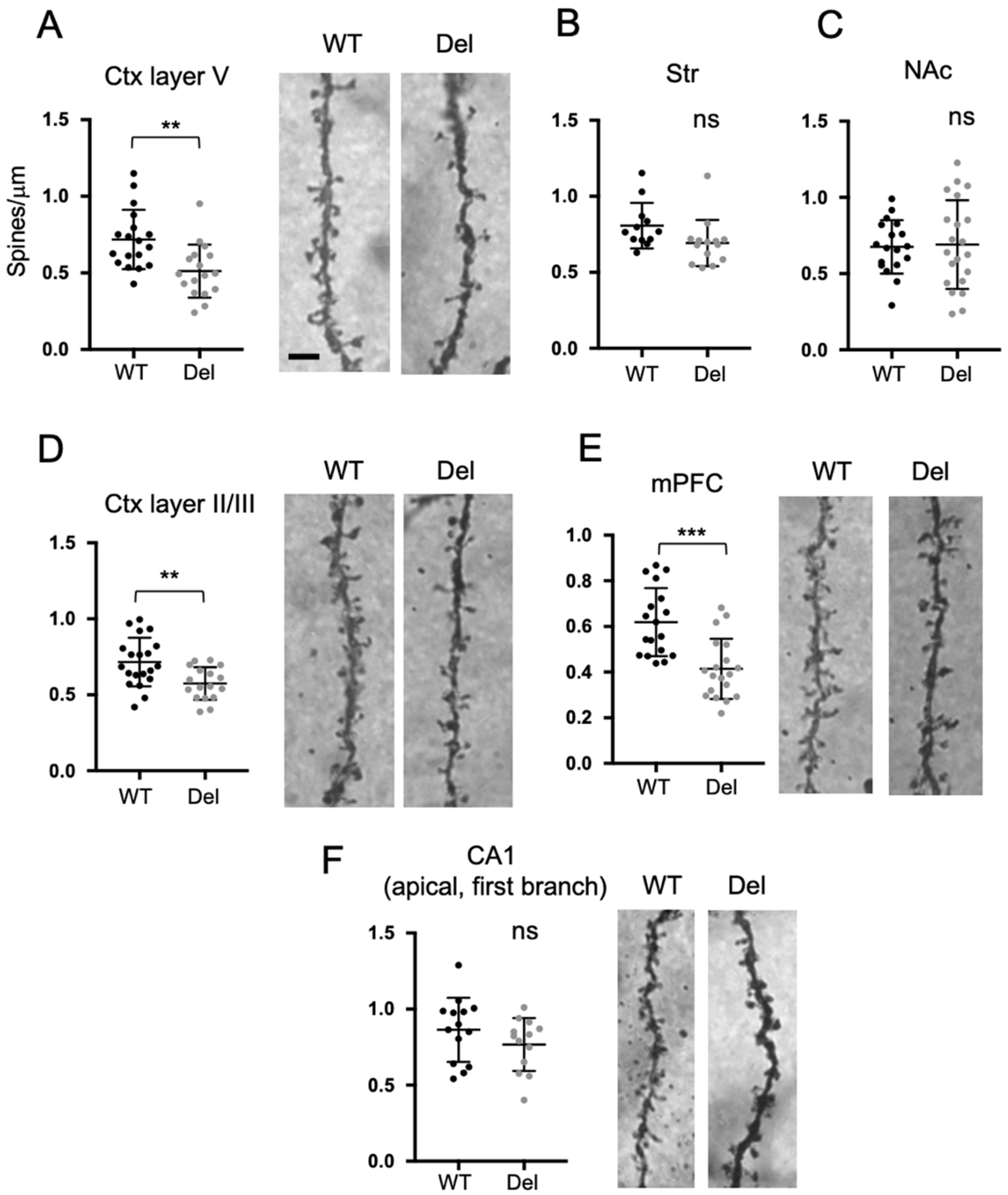 Biomolecules 13 00763 g005 Biomolecules 13 00763 g005