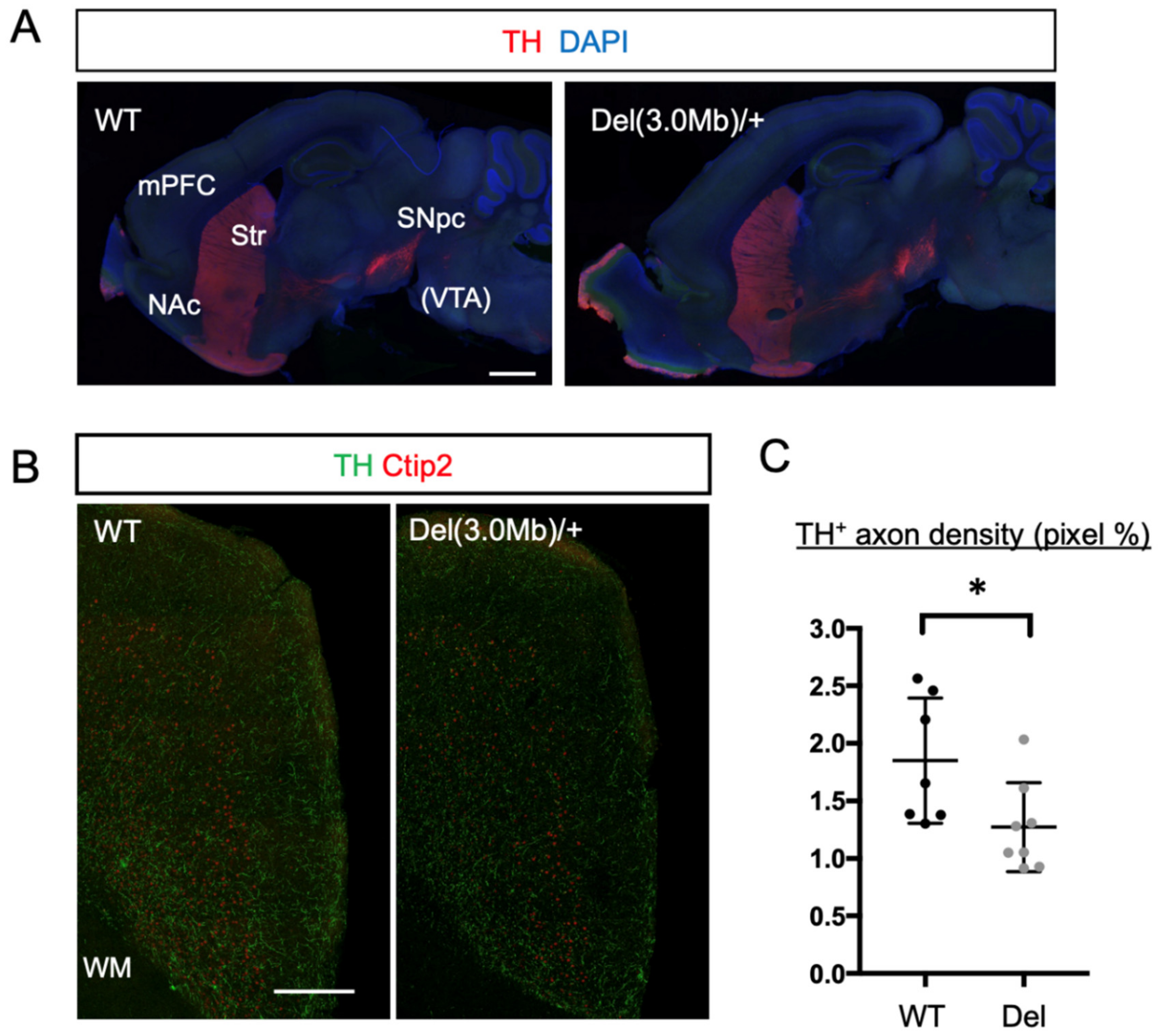 Biomolecules 13 00763 g006 Biomolecules 13 00763 g006