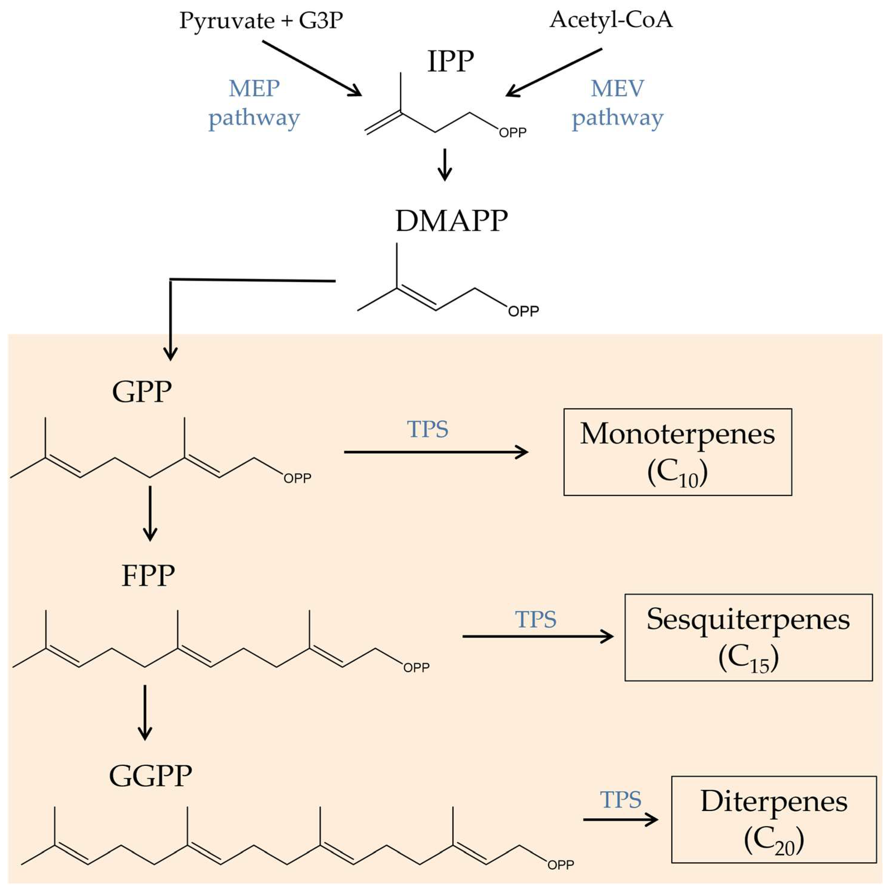 Biomolecules 13 00764 g002 Biomolecules 13 00764 g002