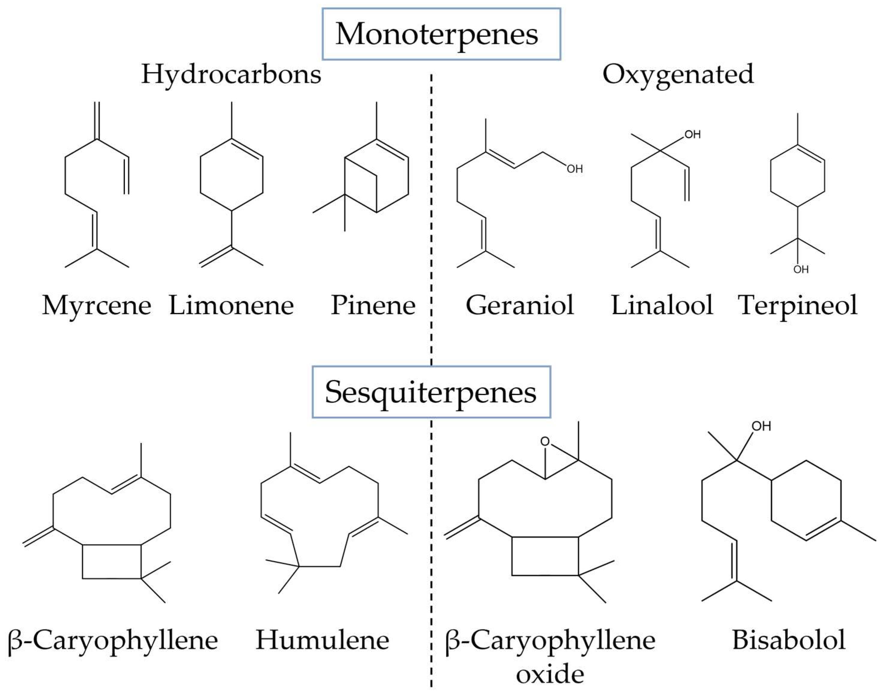 https://www.mdpi.com/biomolecules/biomolecules-13-00764/article_deploy/html/images/biomolecules-13-00764-g003.png