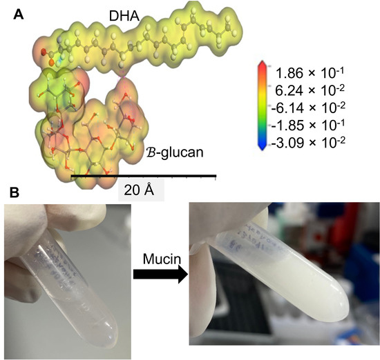 β-Glucan and Fatty Acid Based Mucoadhesive Carrier for