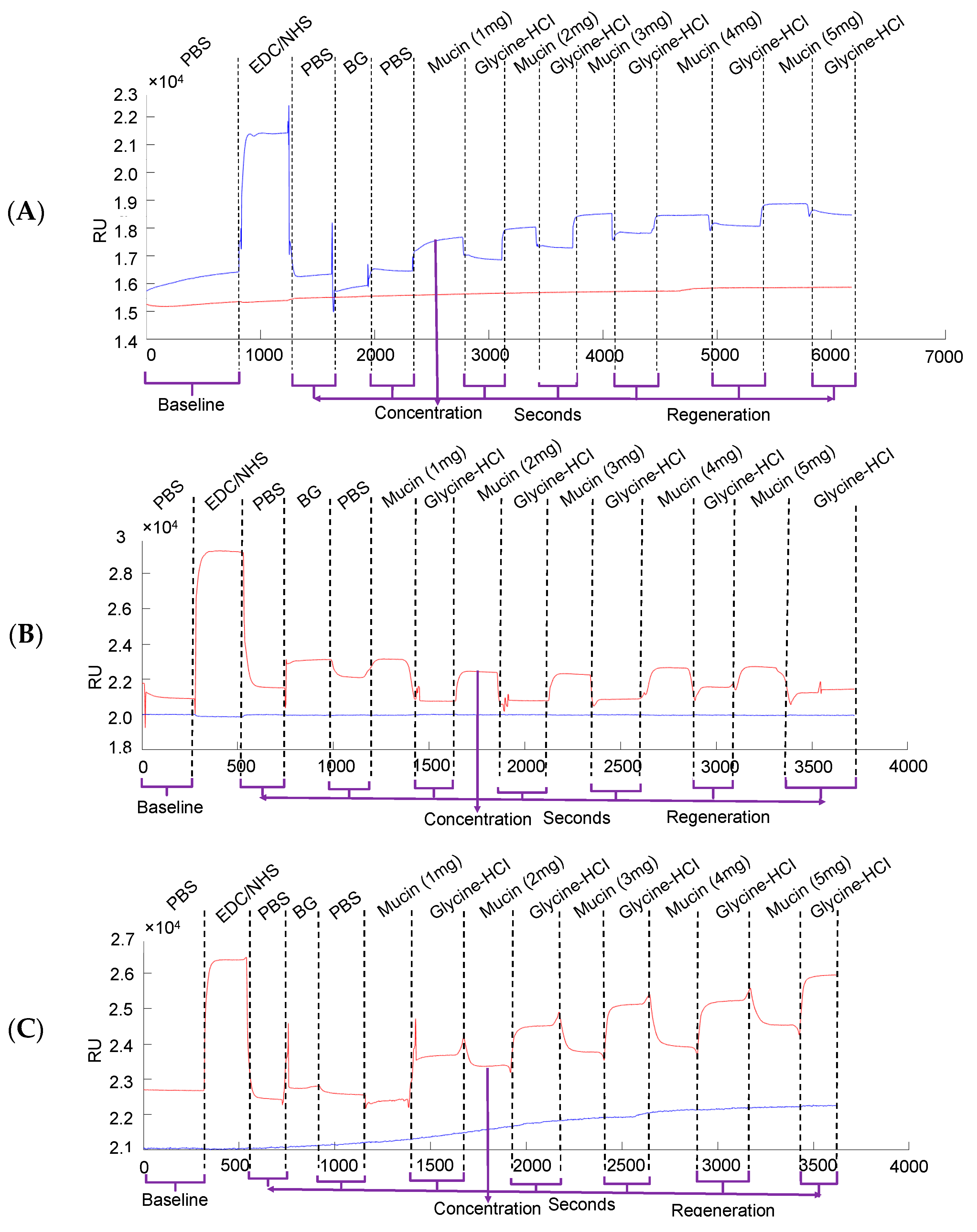 Biomolecules 13 00768 g005 Biomolecules 13 00768 g005