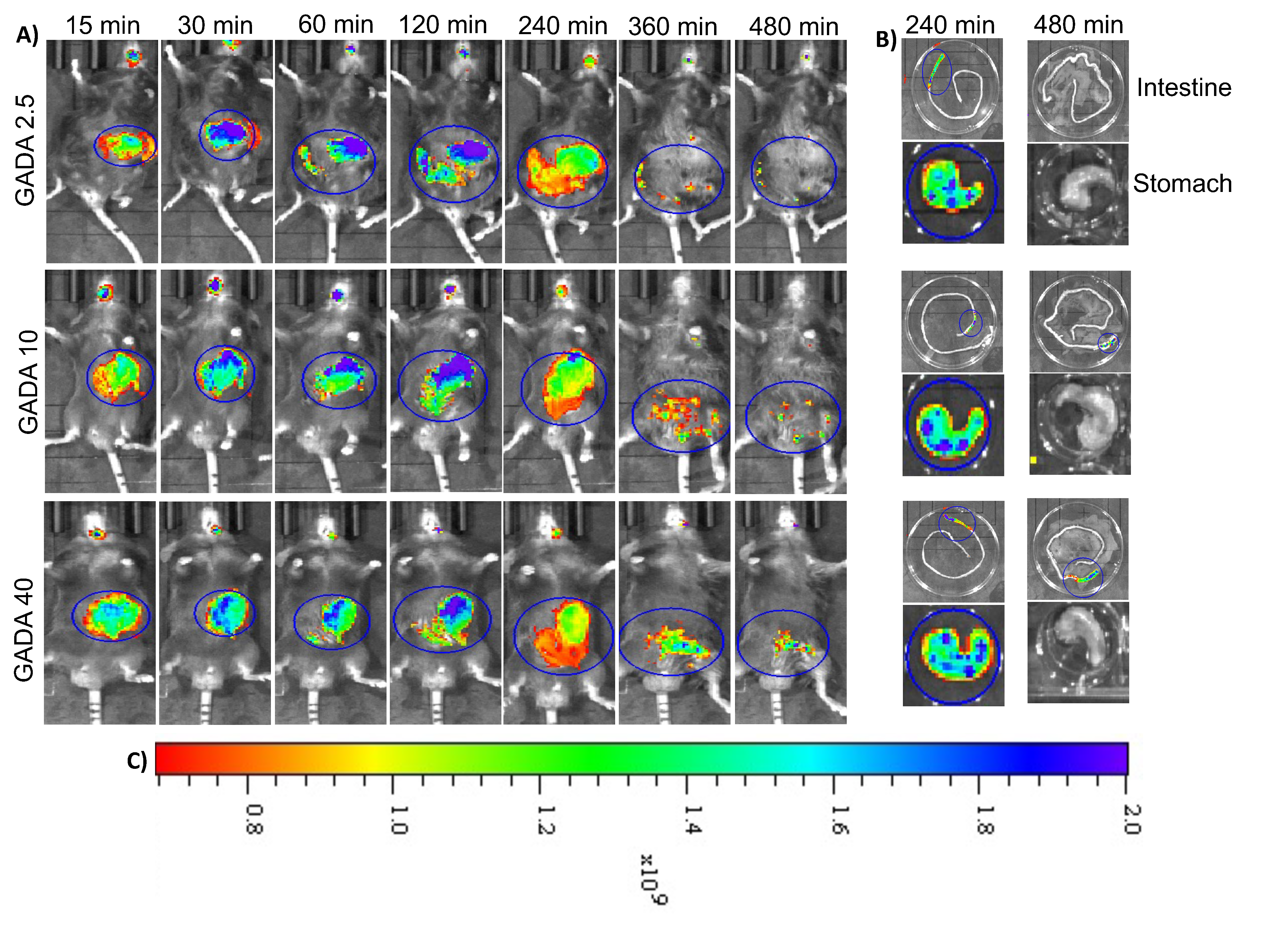 Biomolecules 13 00768 g008 Biomolecules 13 00768 g008