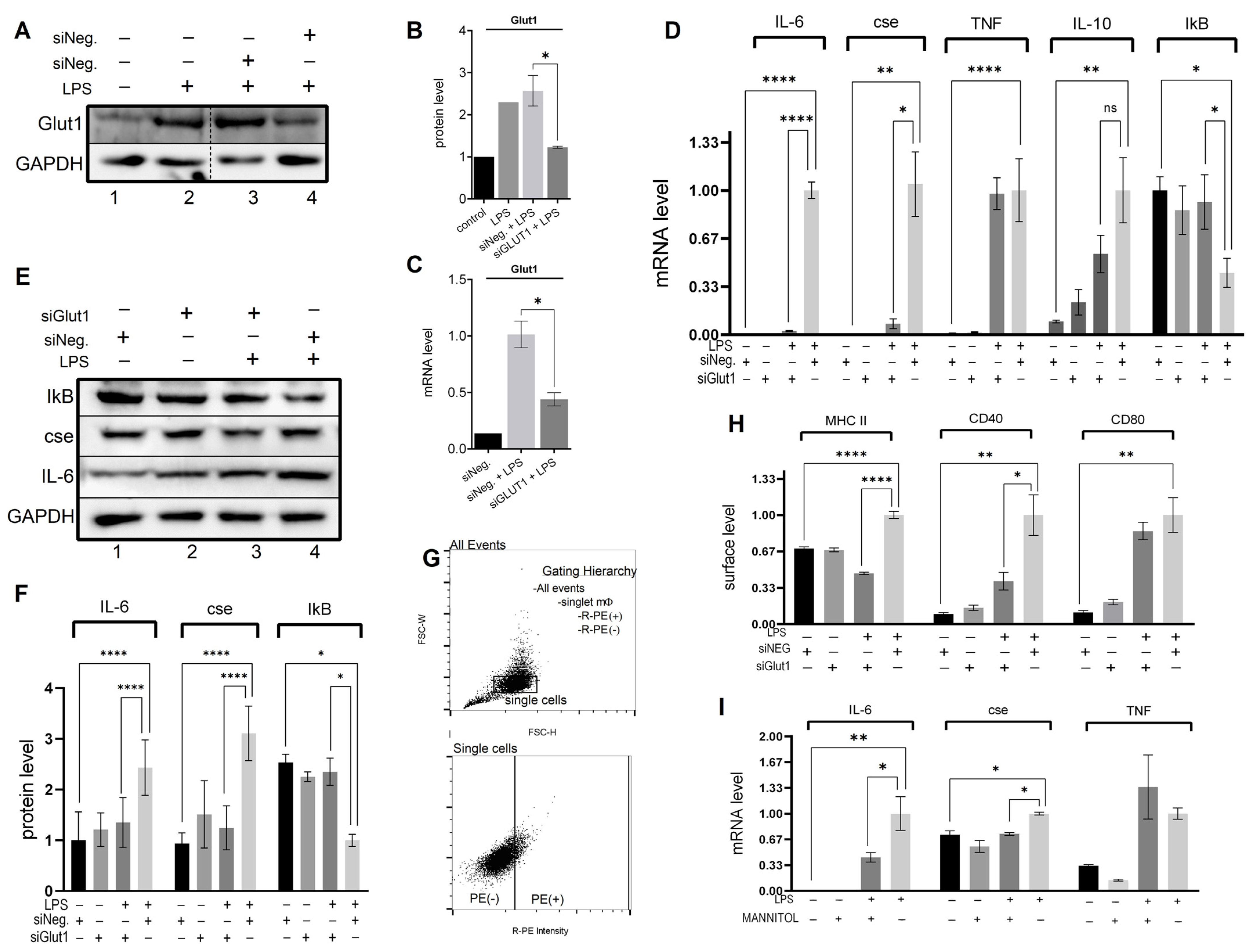 Biomolecules 13 00770 g001 Biomolecules 13 00770 g001