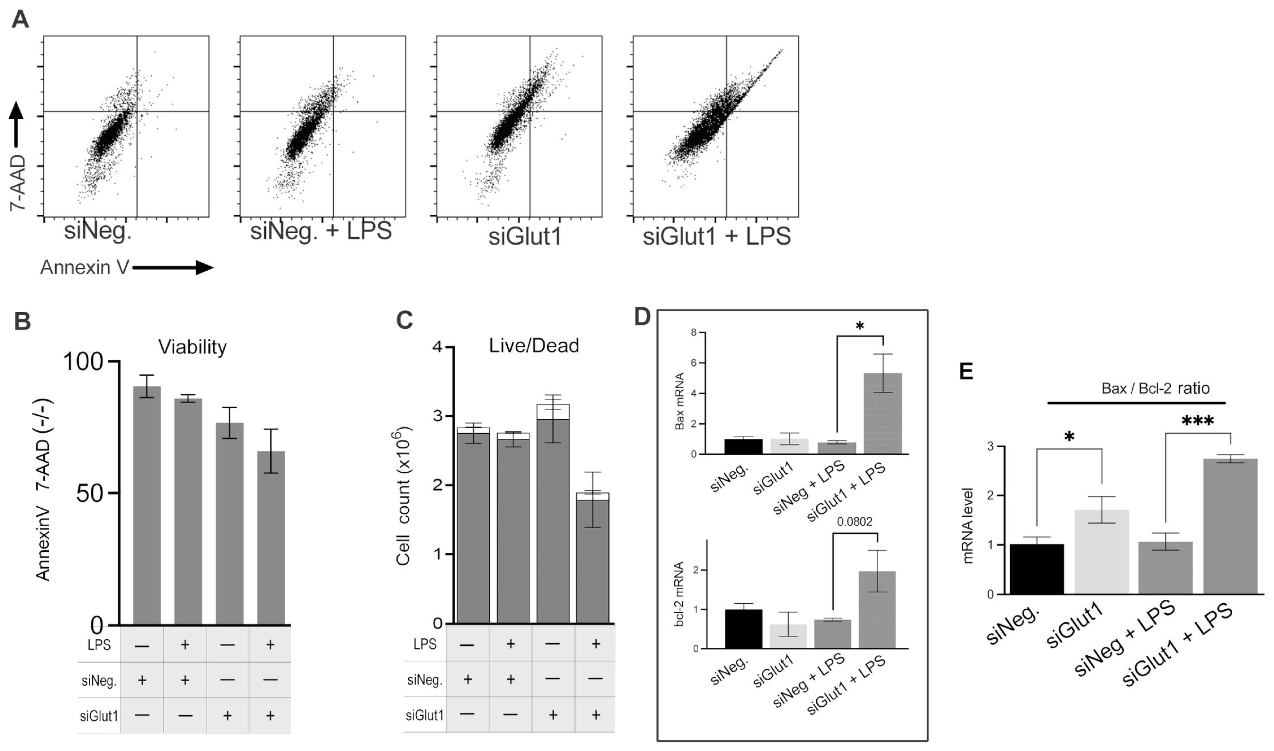 Biomolecules 13 00770 g004 Biomolecules 13 00770 g004