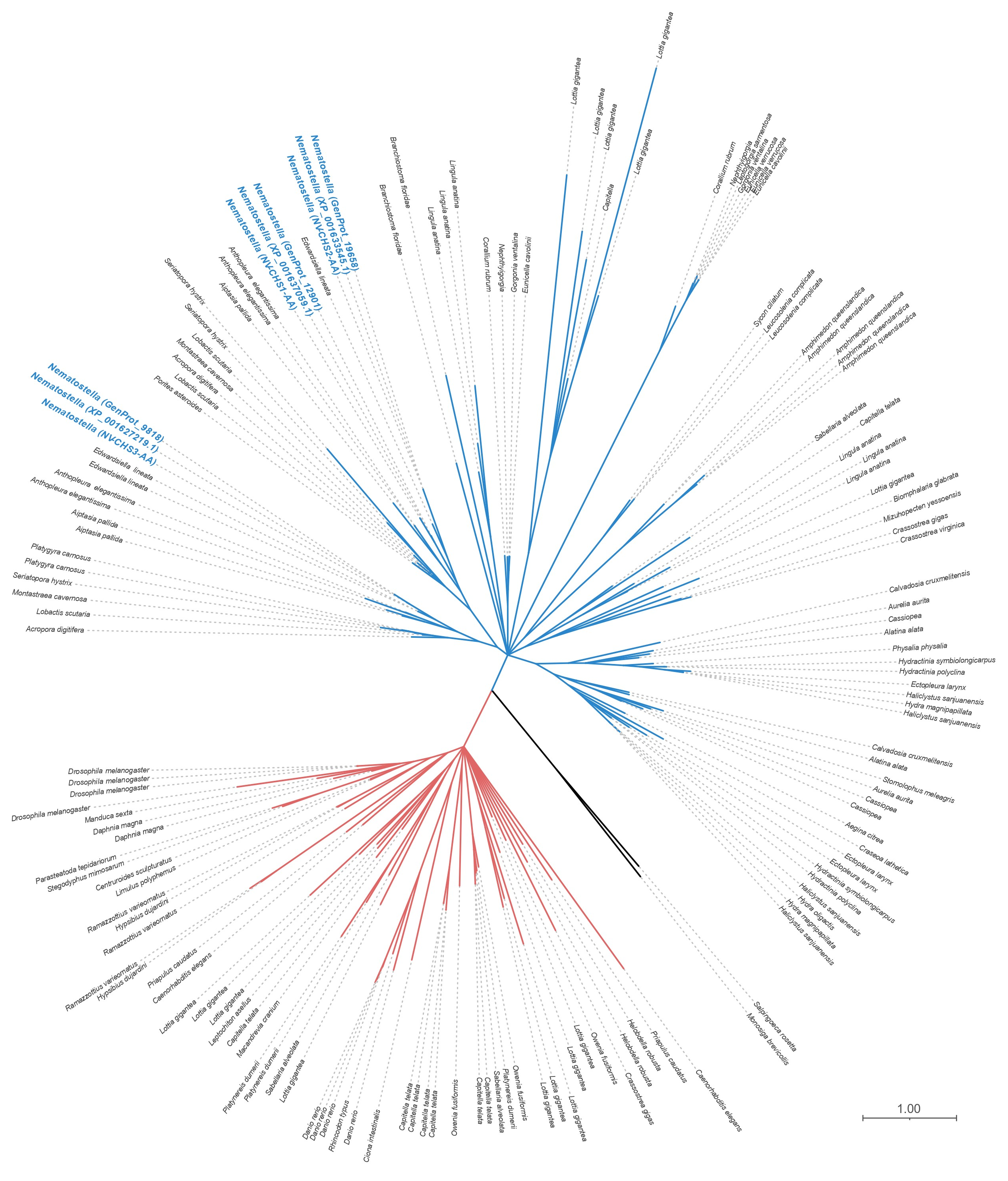 Biomolecules 13 00777 g002