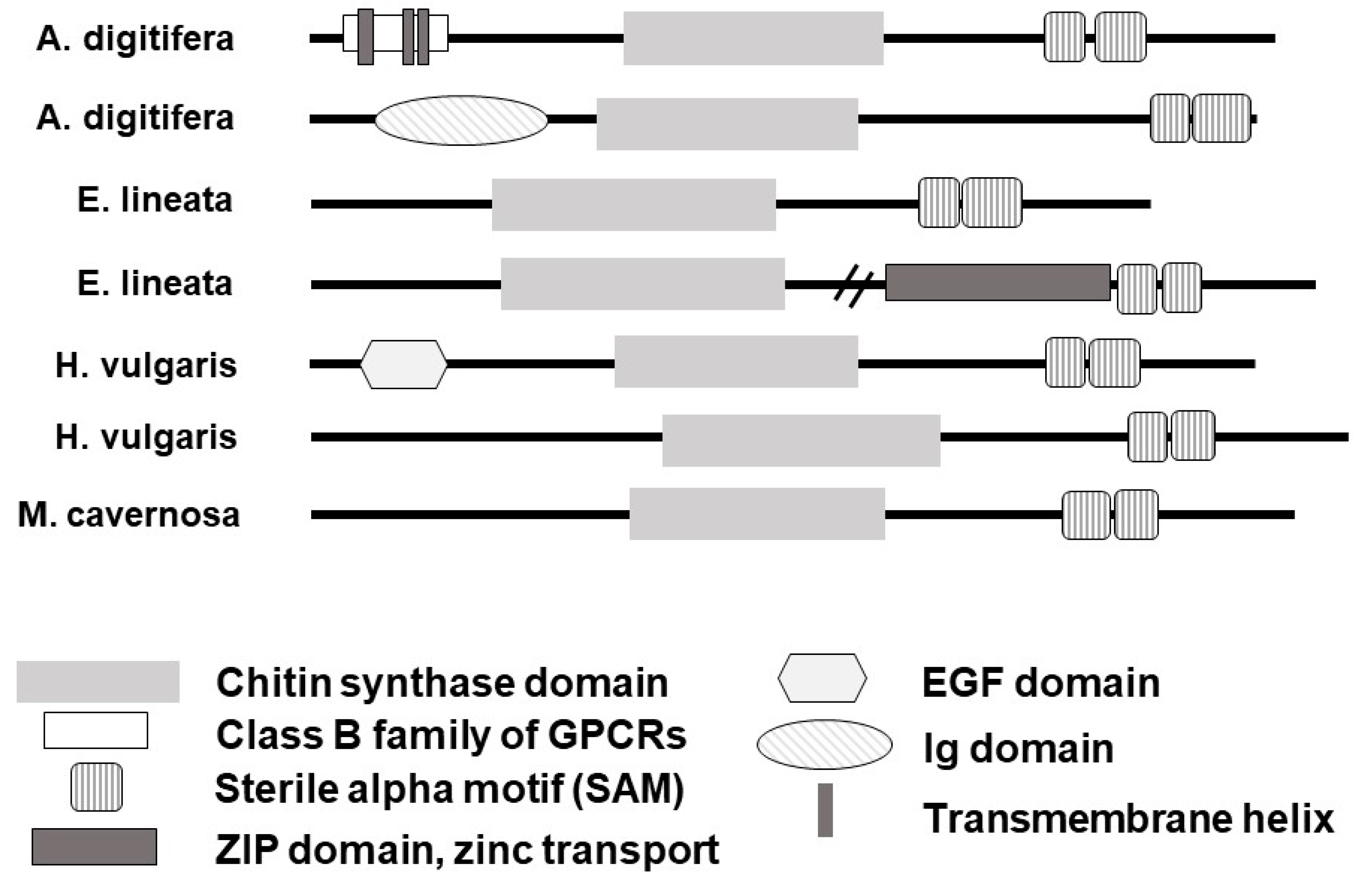Biomolecules 13 00777 g003