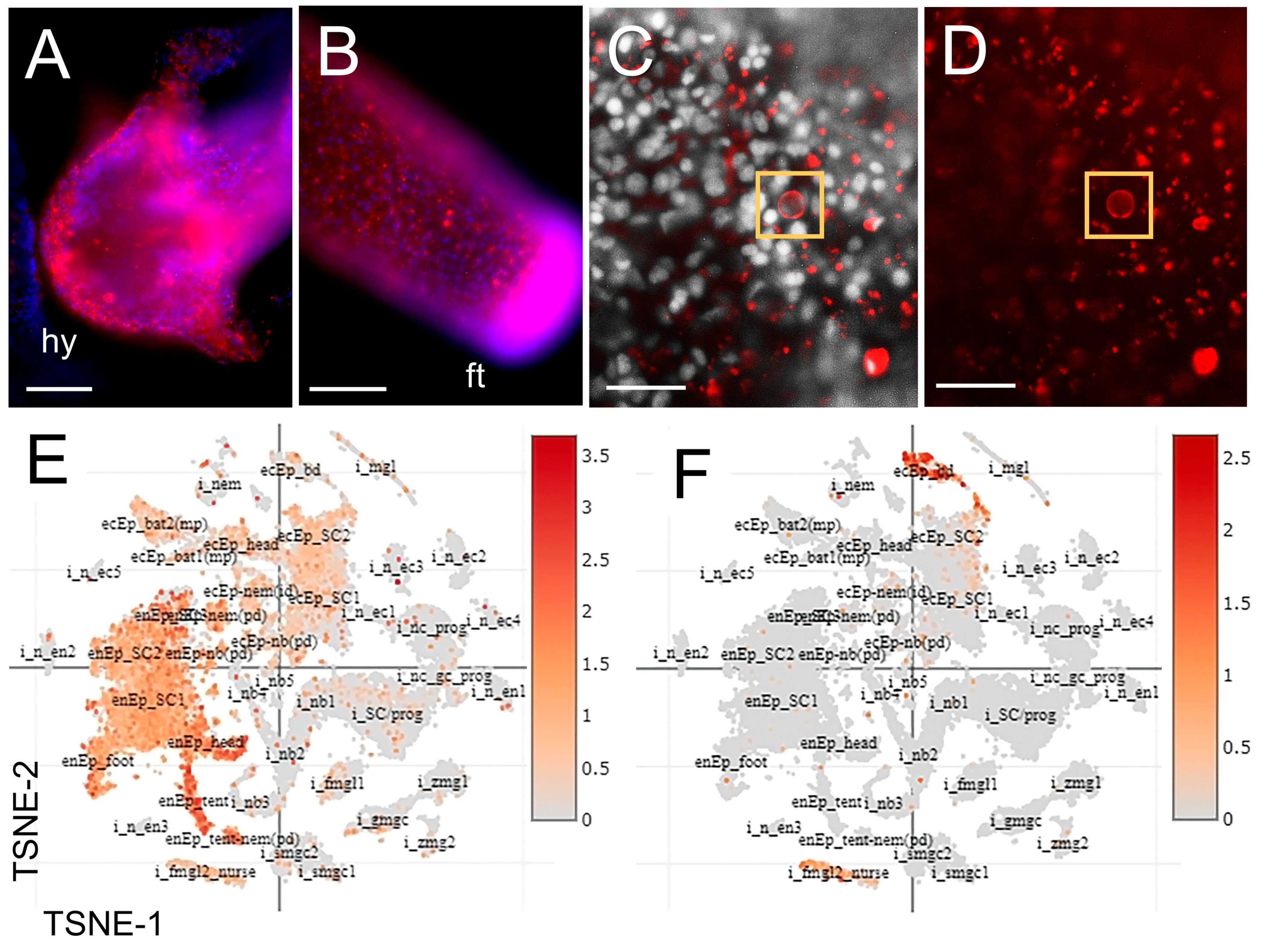 Biomolecules 13 00777 g005