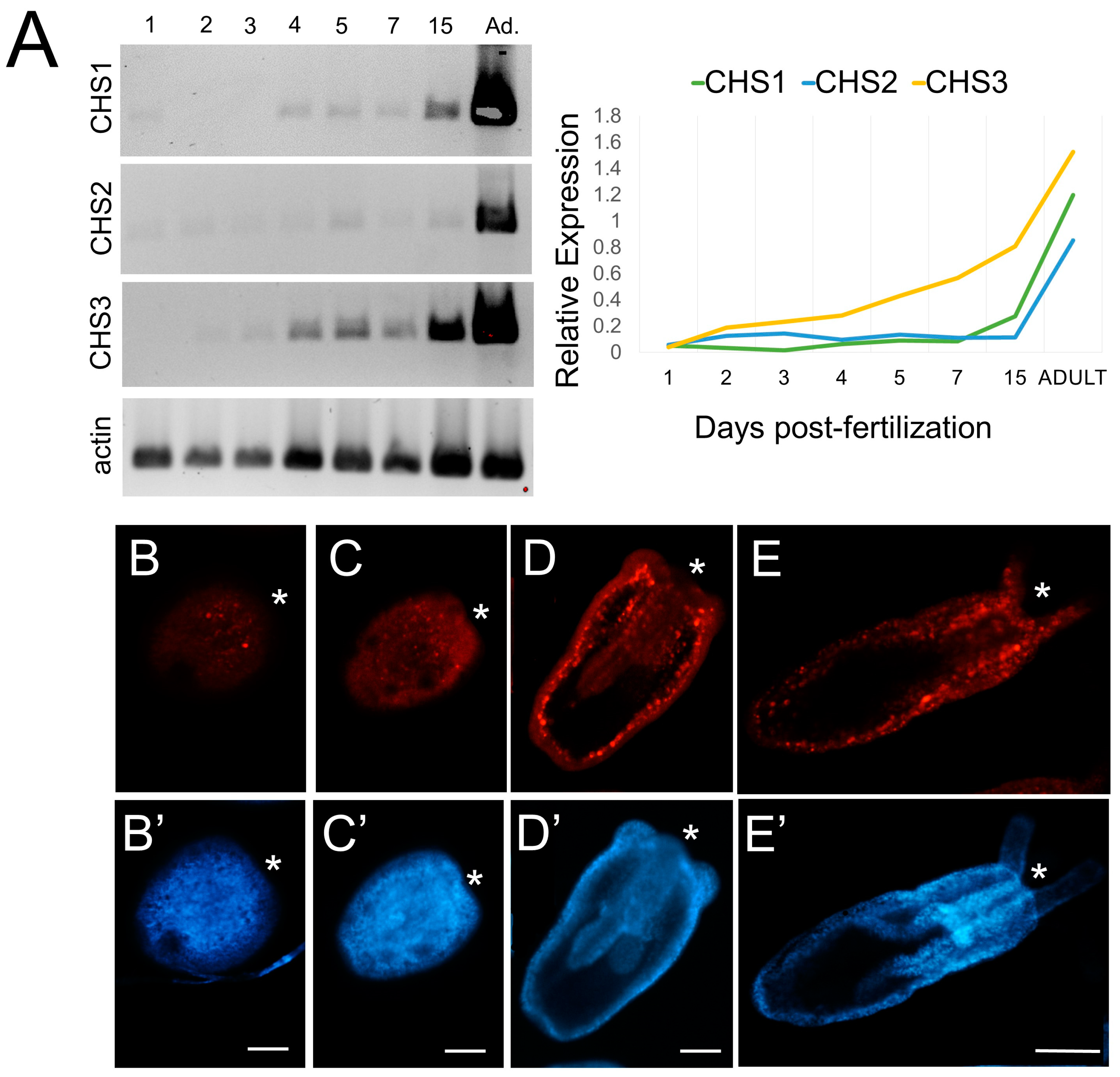 Biomolecules 13 00777 g006
